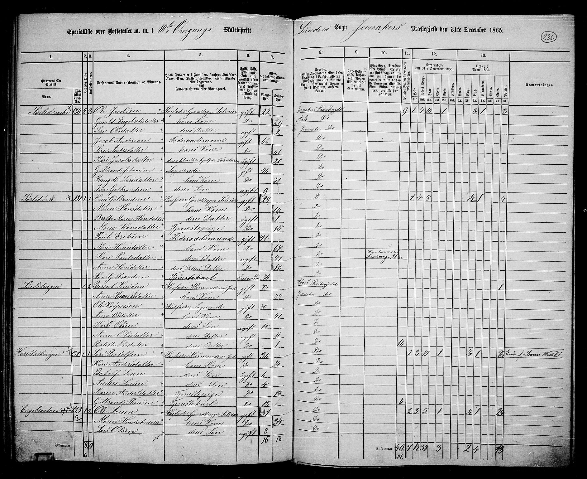 RA, 1865 census for Jevnaker, 1865, p. 220