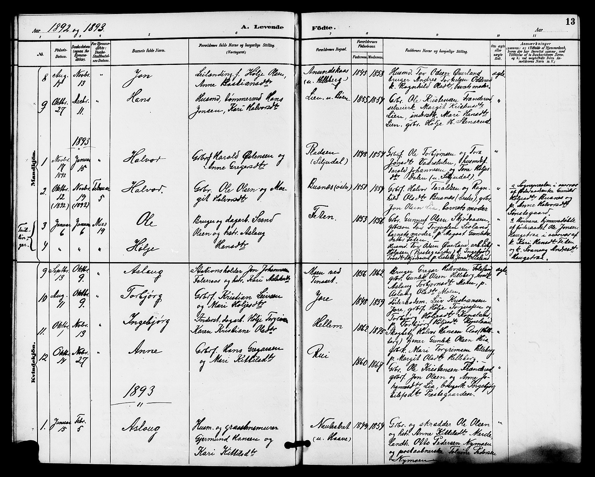 Gransherad kirkebøker, SAKO/A-267/G/Ga/L0003: Parish register (copy) no. I 3, 1887-1915, p. 13