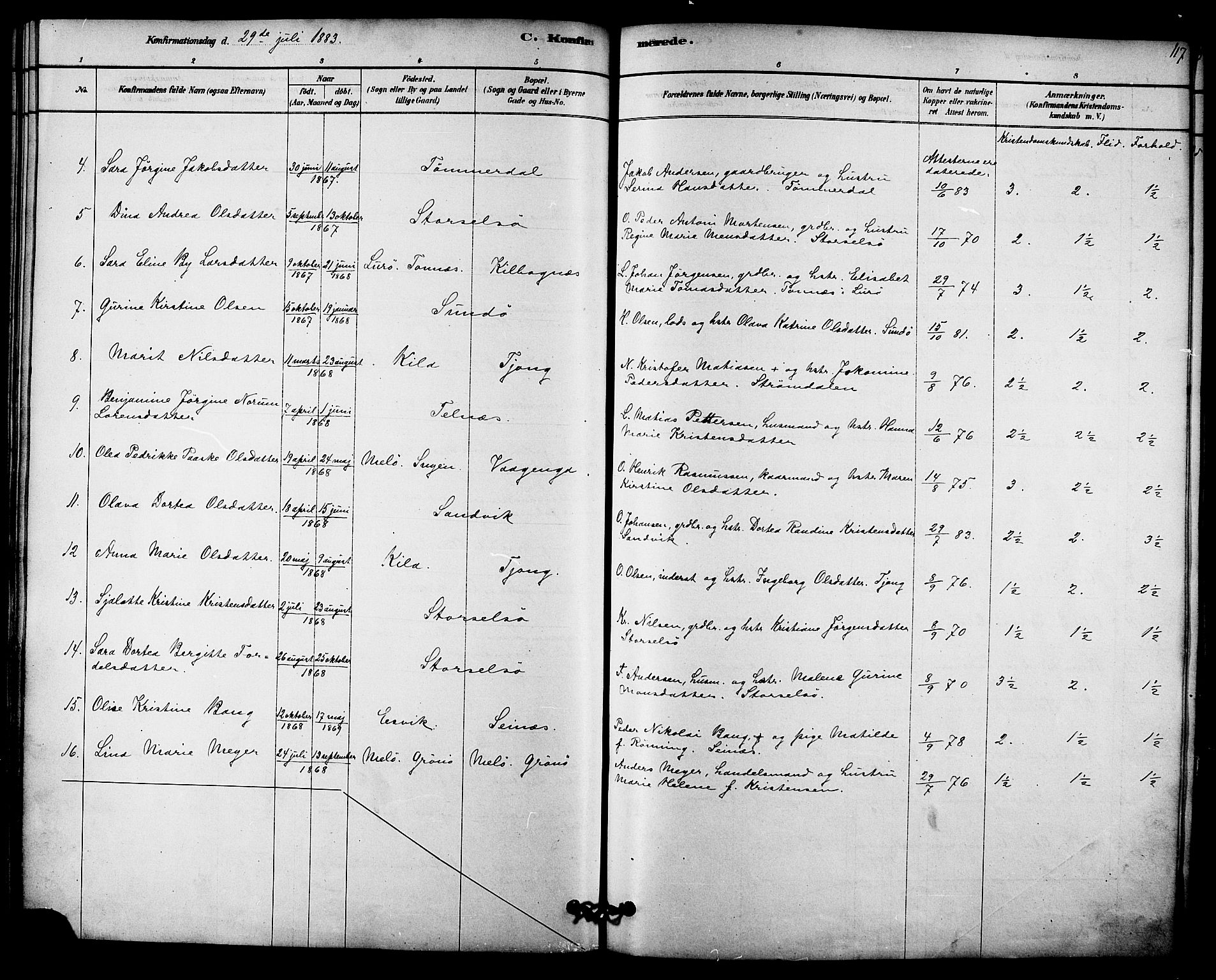 Ministerialprotokoller, klokkerbøker og fødselsregistre - Nordland, AV/SAT-A-1459/841/L0609: Parish register (official) no. 841A12, 1878-1901, p. 117