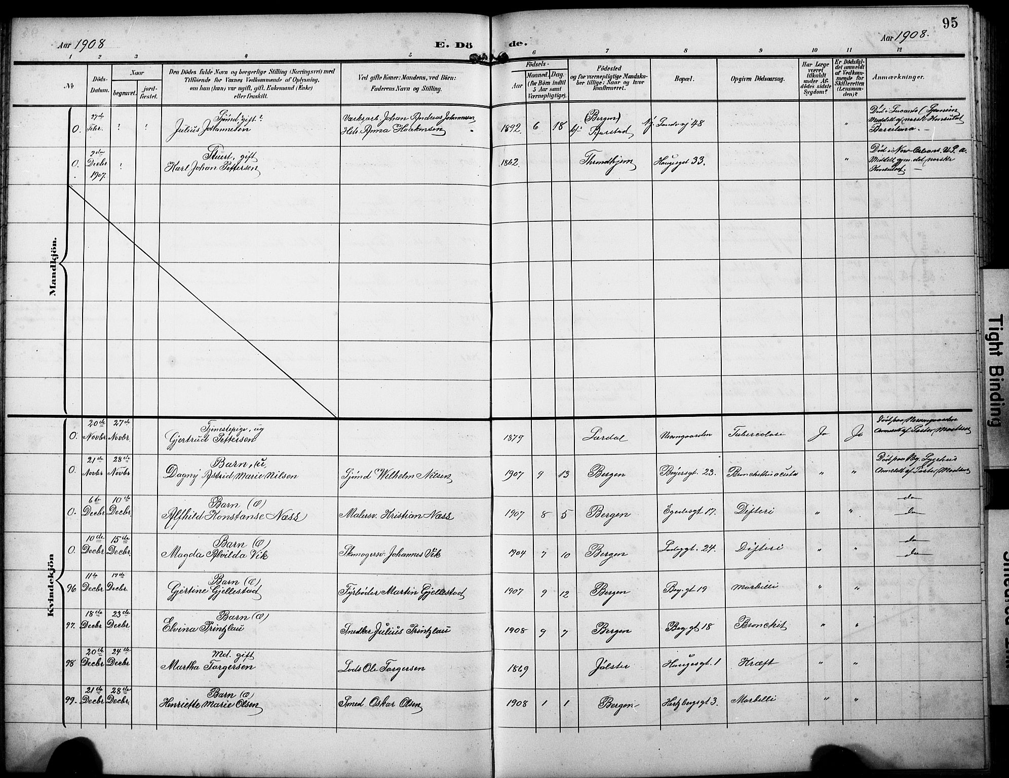 Sandviken Sokneprestembete, AV/SAB-A-77601/H/Hb/L0017: Parish register (copy) no. E 1, 1903-1926, p. 95