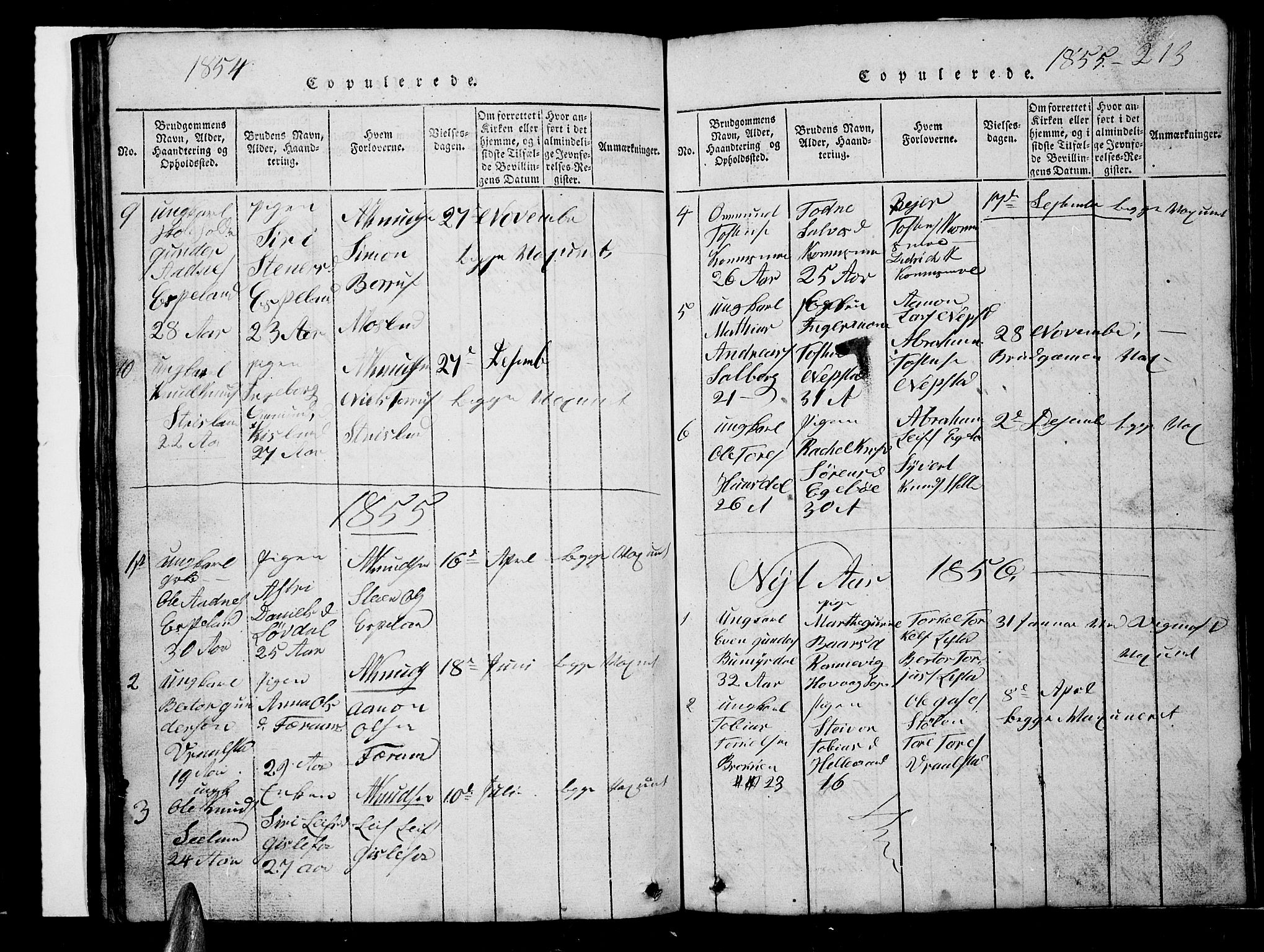 Nord-Audnedal sokneprestkontor, SAK/1111-0032/F/Fb/Fba/L0001: Parish register (copy) no. B 1, 1815-1856, p. 213