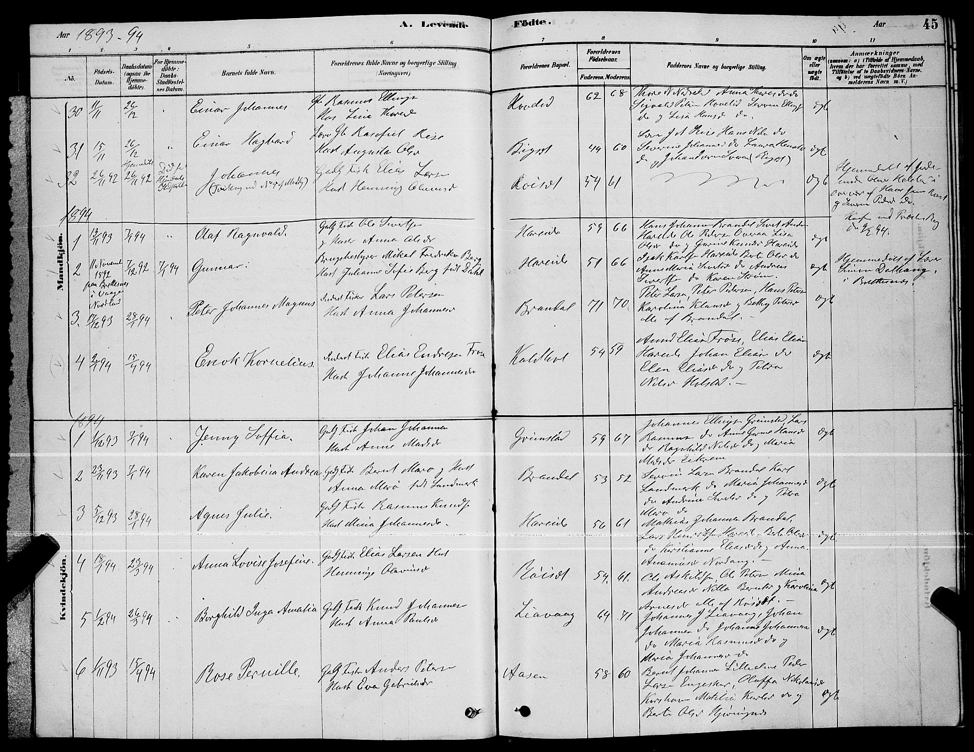 Ministerialprotokoller, klokkerbøker og fødselsregistre - Møre og Romsdal, AV/SAT-A-1454/510/L0125: Parish register (copy) no. 510C02, 1878-1900, p. 45