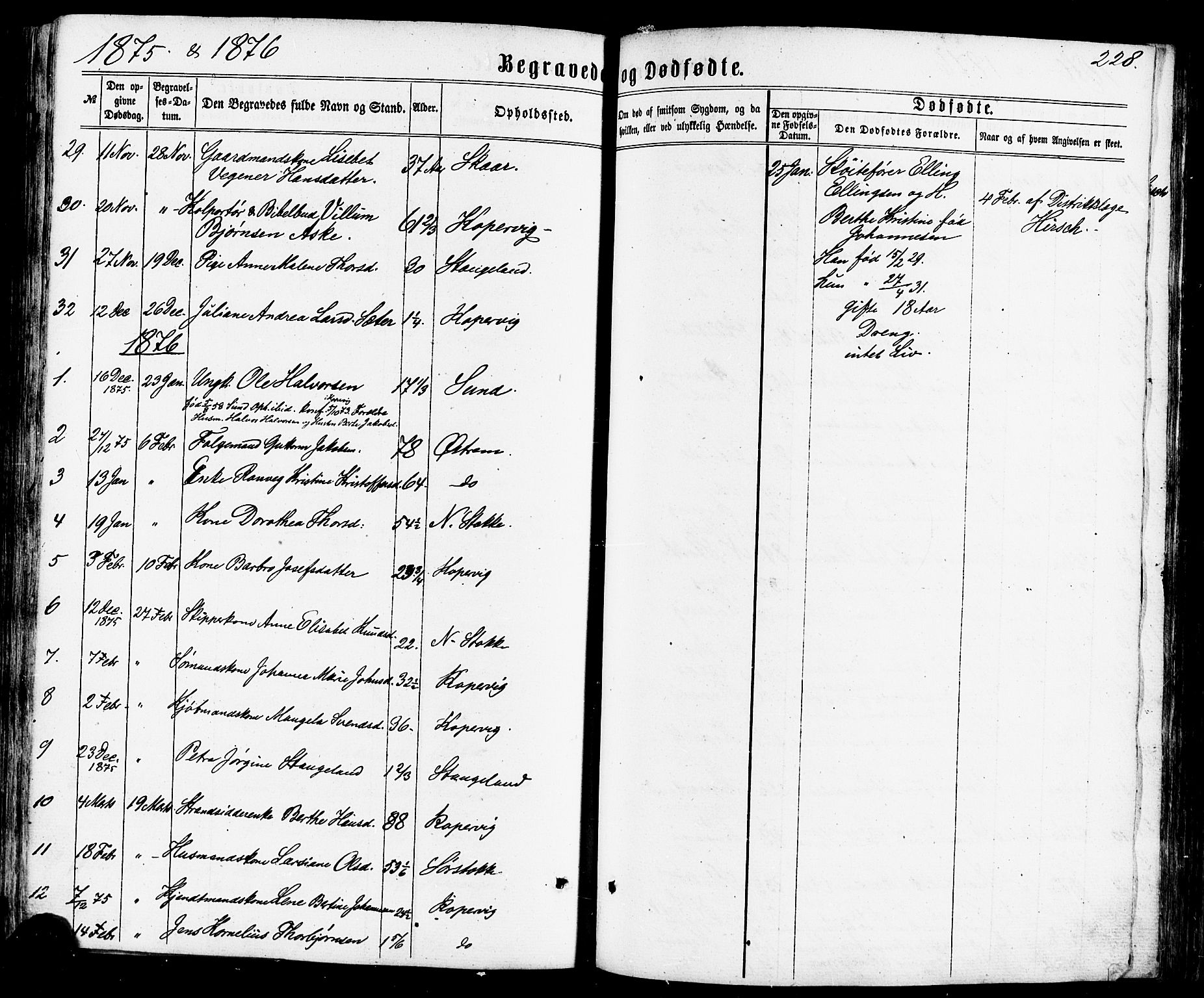 Avaldsnes sokneprestkontor, SAST/A -101851/H/Ha/Haa/L0011: Parish register (official) no. A 11, 1861-1880, p. 228