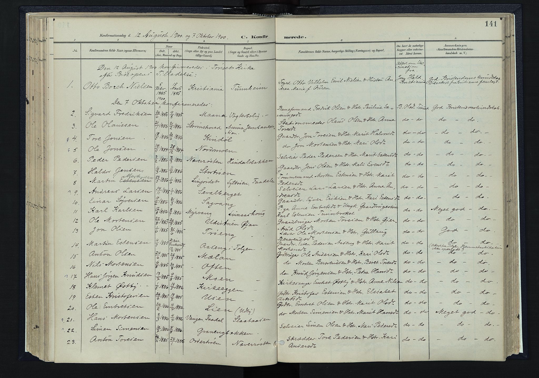 Tynset prestekontor, SAH/PREST-058/H/Ha/Haa/L0025: Parish register (official) no. 25, 1900-1914, p. 141