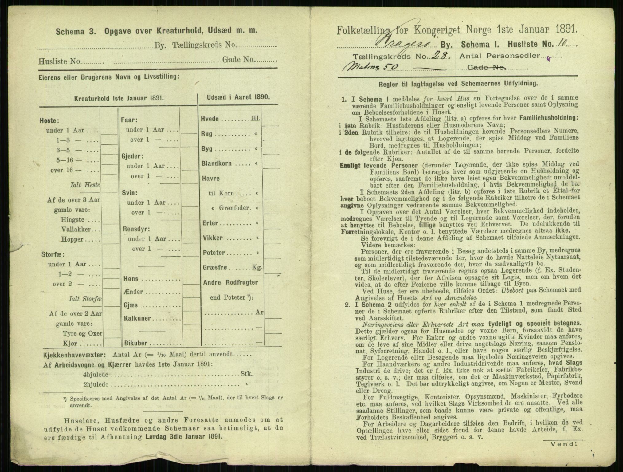 RA, 1891 census for 0801 Kragerø, 1891, p. 1036