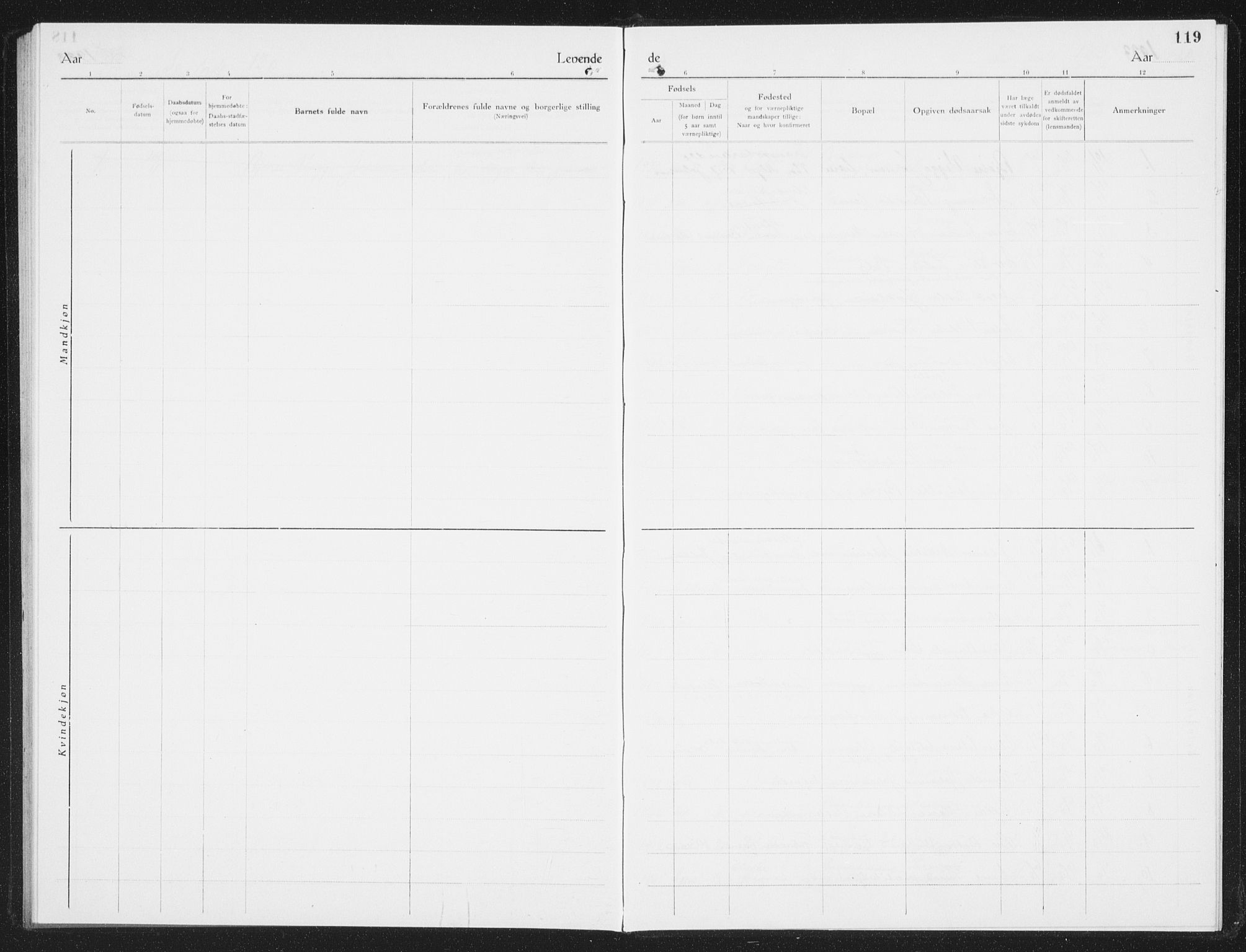 Ministerialprotokoller, klokkerbøker og fødselsregistre - Nordland, AV/SAT-A-1459/801/L0036: Parish register (copy) no. 801C11, 1920-1934, p. 119