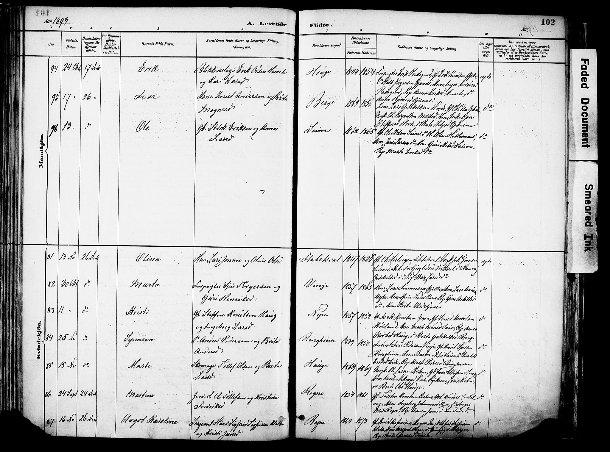 Voss sokneprestembete, SAB/A-79001/H/Haa: Parish register (official) no. A 21, 1887-1903, p. 102