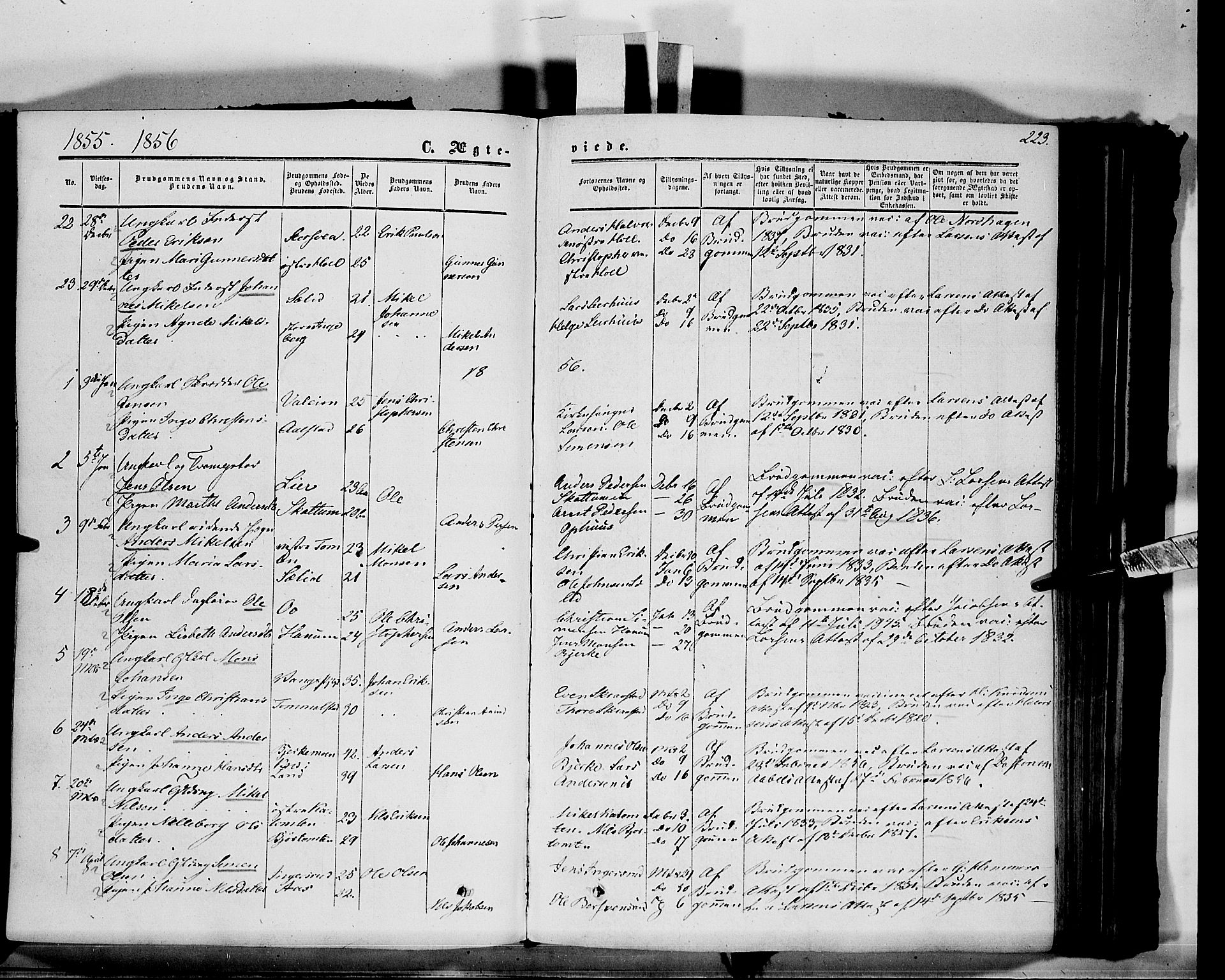 Vang prestekontor, Hedmark, SAH/PREST-008/H/Ha/Haa/L0012: Parish register (official) no. 12, 1855-1870, p. 223