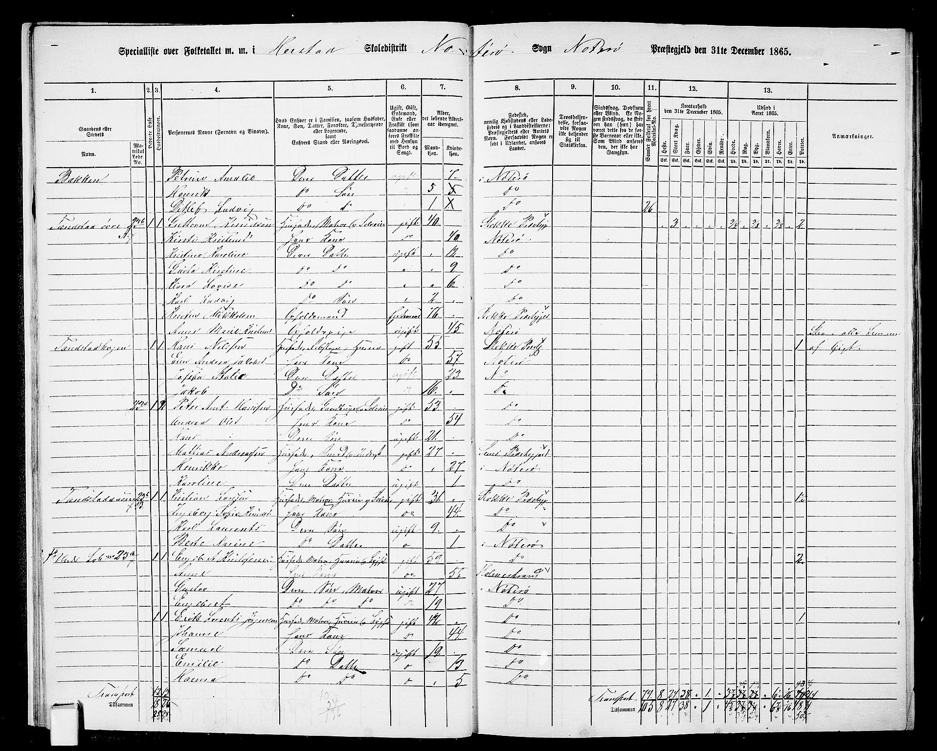 RA, 1865 census for Nøtterøy, 1865, p. 17