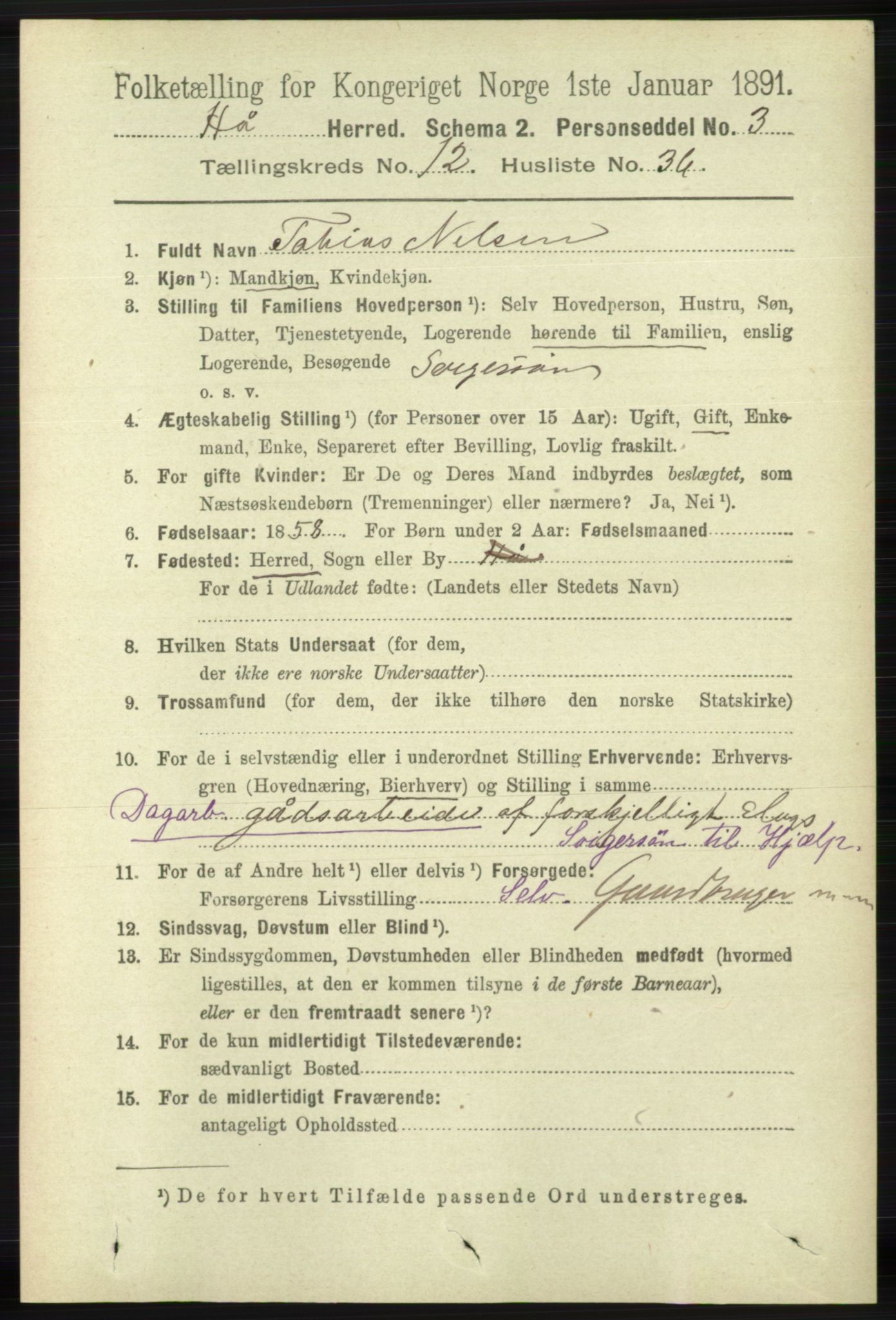 RA, 1891 census for 1119 Hå, 1891, p. 3108