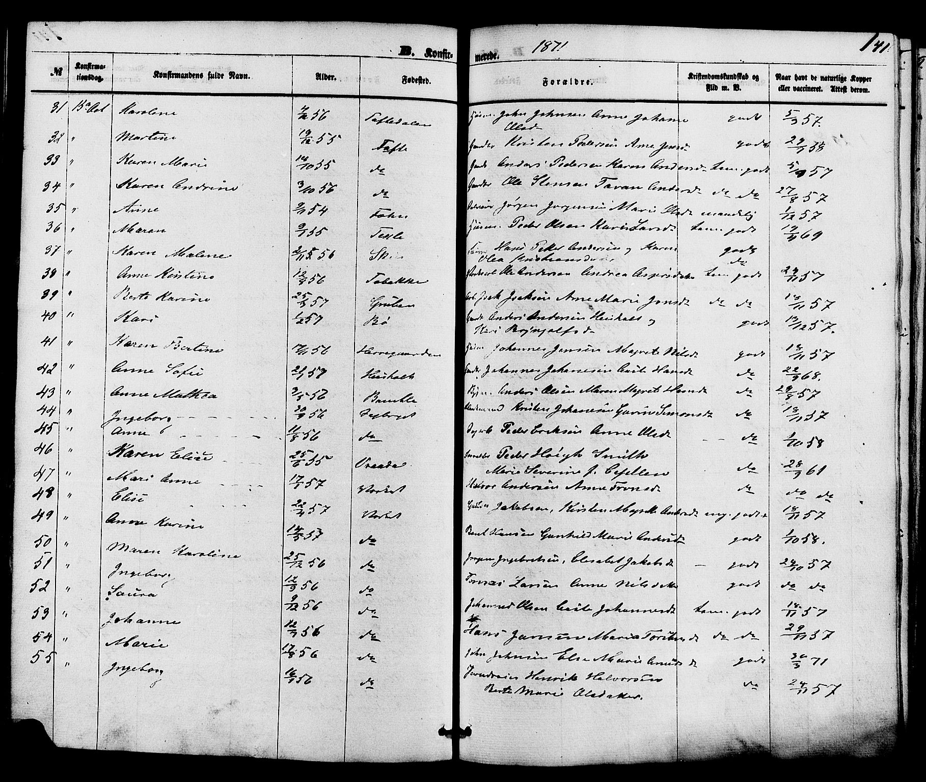 Holla kirkebøker, AV/SAKO-A-272/F/Fa/L0007: Parish register (official) no. 7, 1869-1881, p. 141