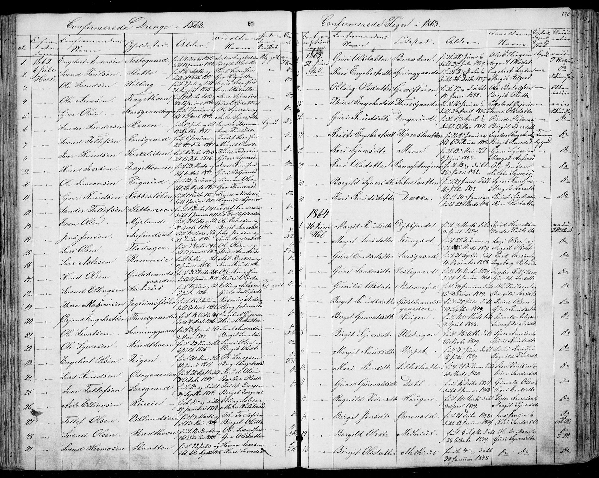 Ål kirkebøker, AV/SAKO-A-249/F/Fa/L0006: Parish register (official) no. I 6, 1849-1864, p. 120