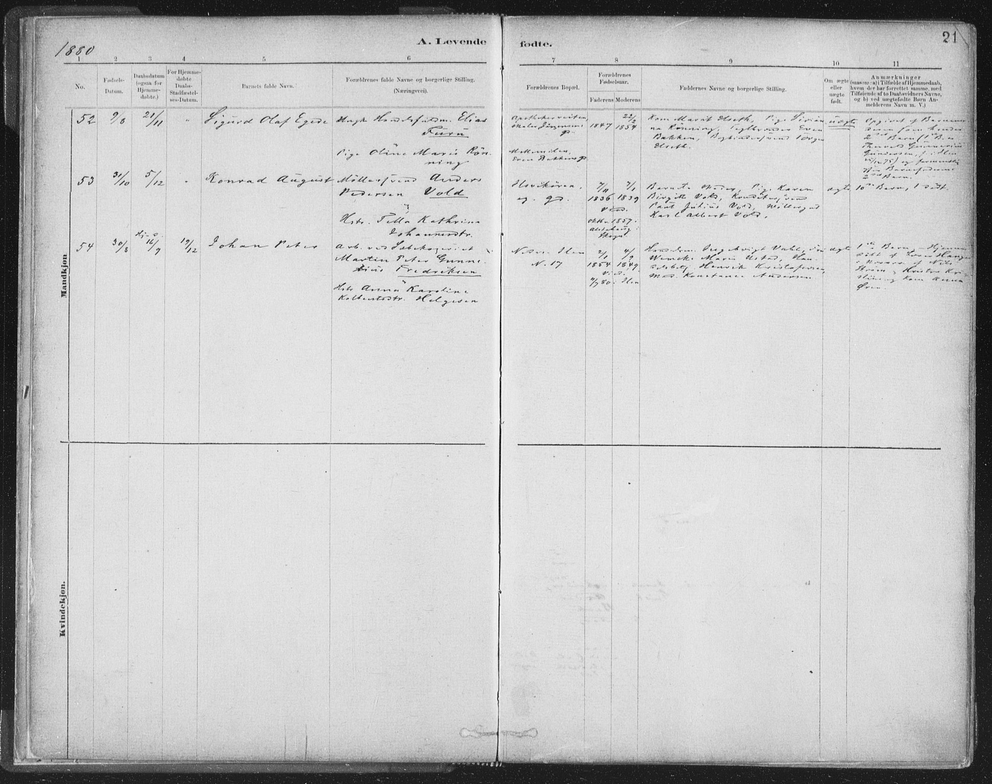 Ministerialprotokoller, klokkerbøker og fødselsregistre - Sør-Trøndelag, AV/SAT-A-1456/603/L0162: Parish register (official) no. 603A01, 1879-1895, p. 21