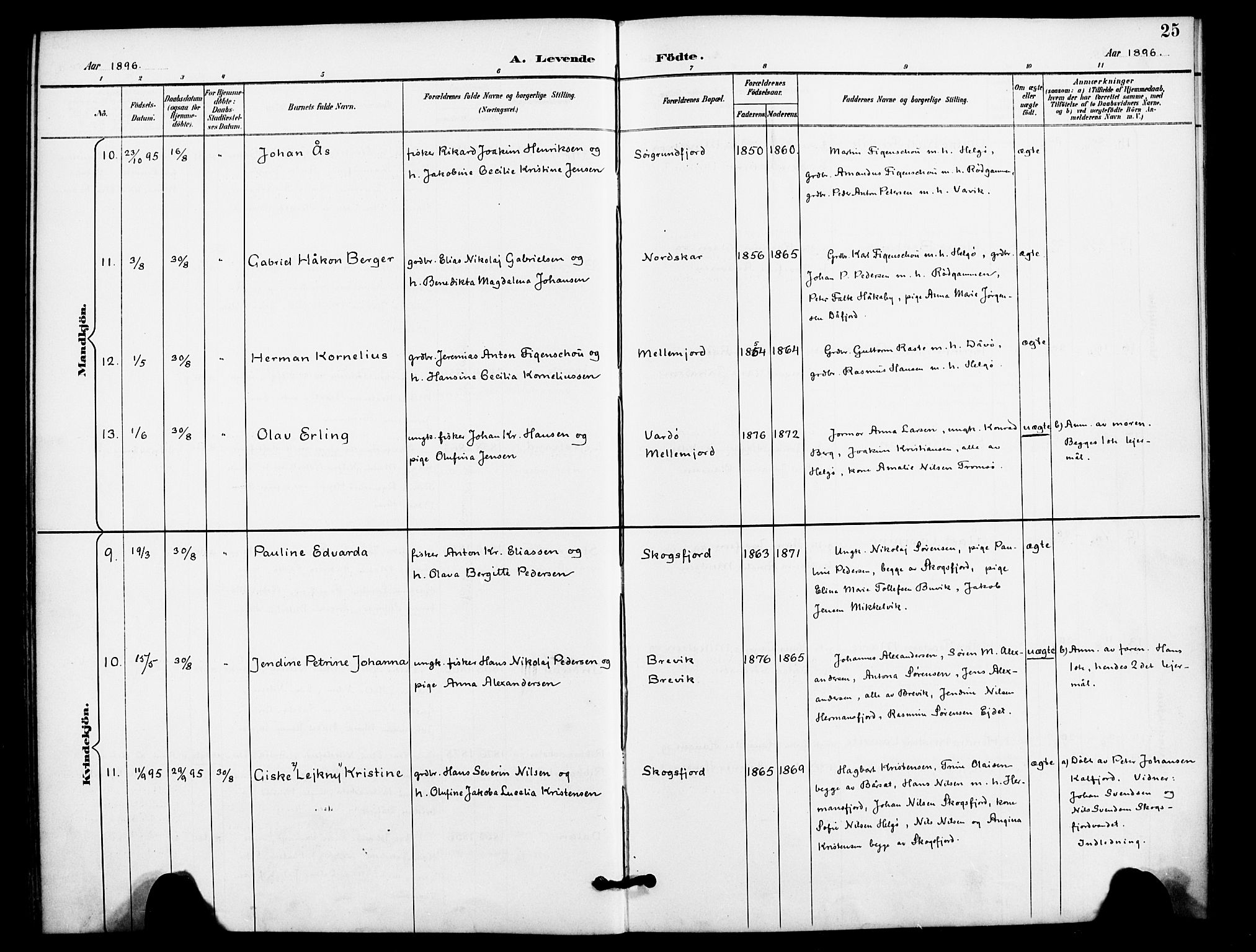 Karlsøy sokneprestembete, AV/SATØ-S-1299/H/Ha/Haa/L0012kirke: Parish register (official) no. 12, 1892-1902, p. 25