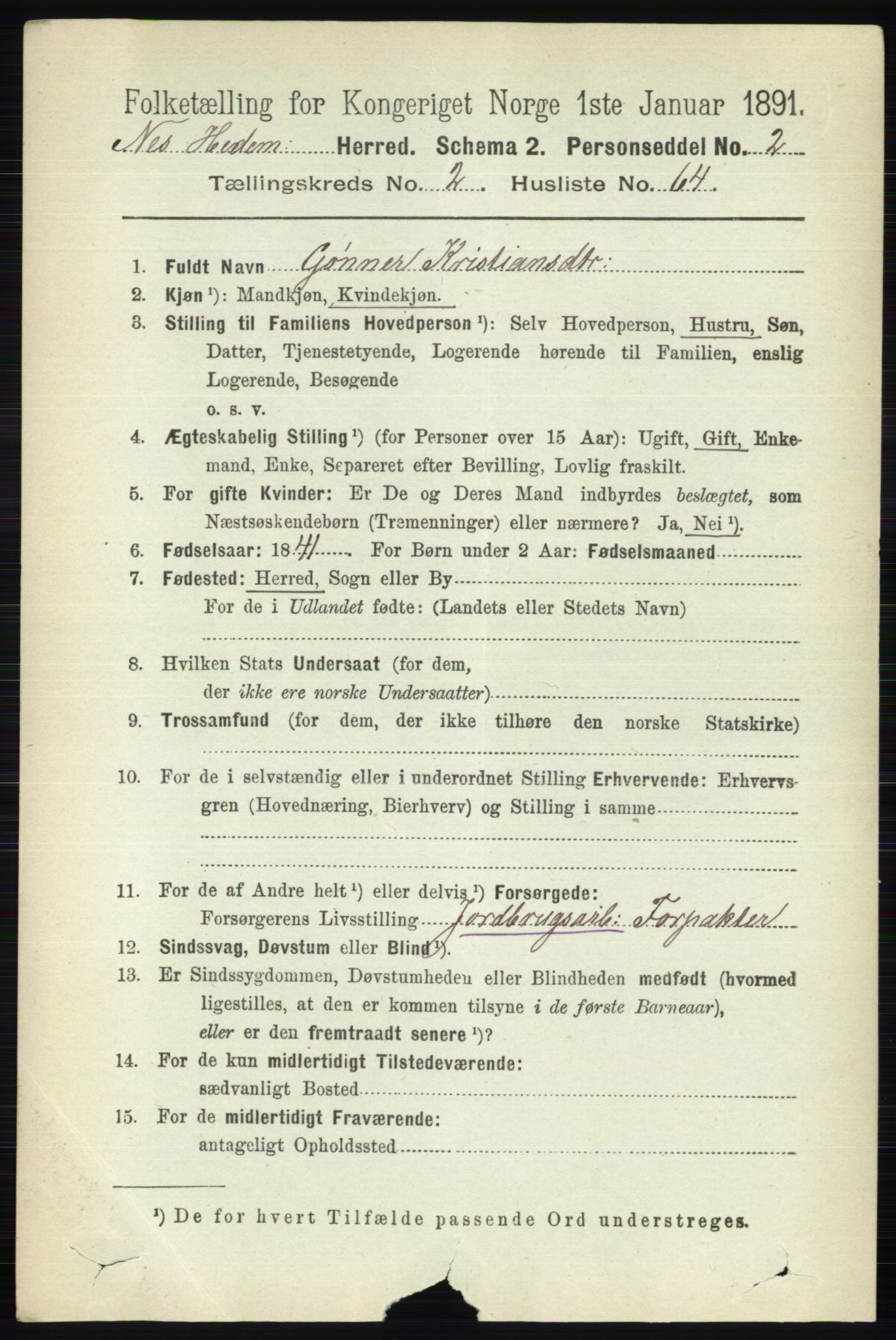 RA, 1891 census for 0411 Nes, 1891, p. 1516