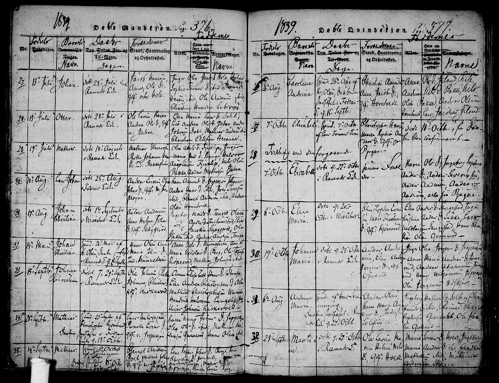 Ramnes kirkebøker, AV/SAKO-A-314/F/Fa/L0004: Parish register (official) no. I 4, 1813-1840, p. 376-377