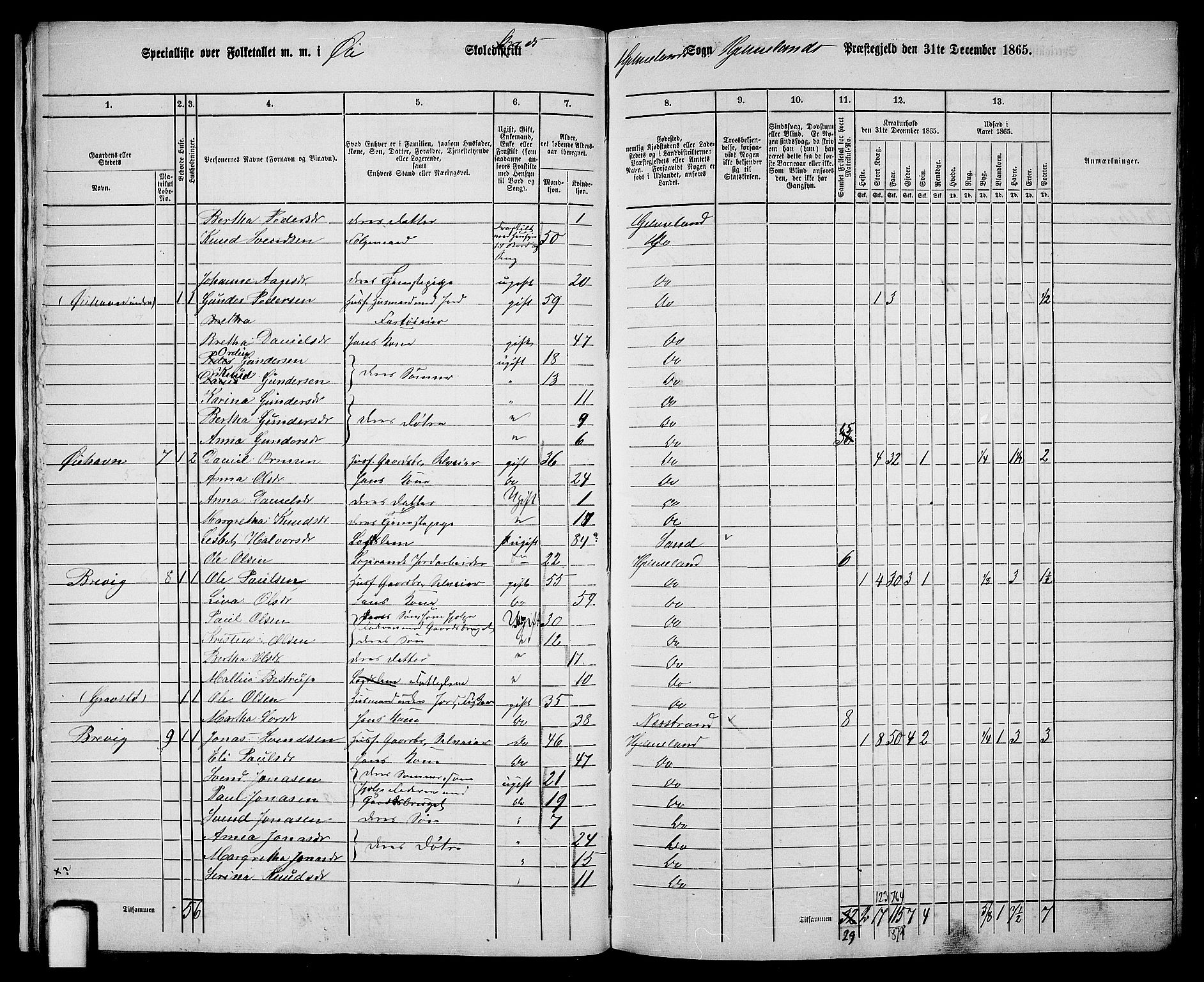 RA, 1865 census for Hjelmeland, 1865, p. 21