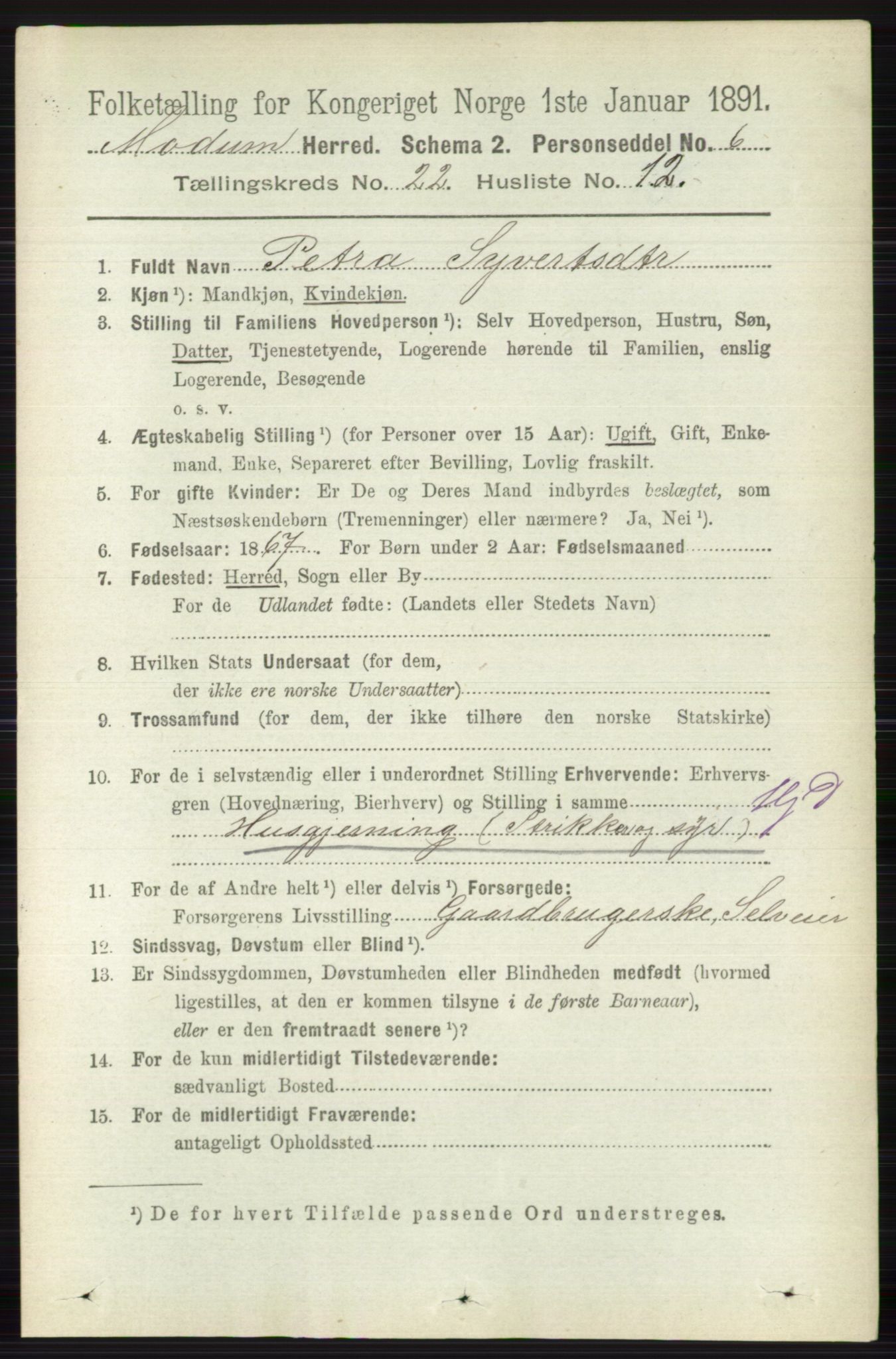 RA, 1891 census for 0623 Modum, 1891, p. 8451