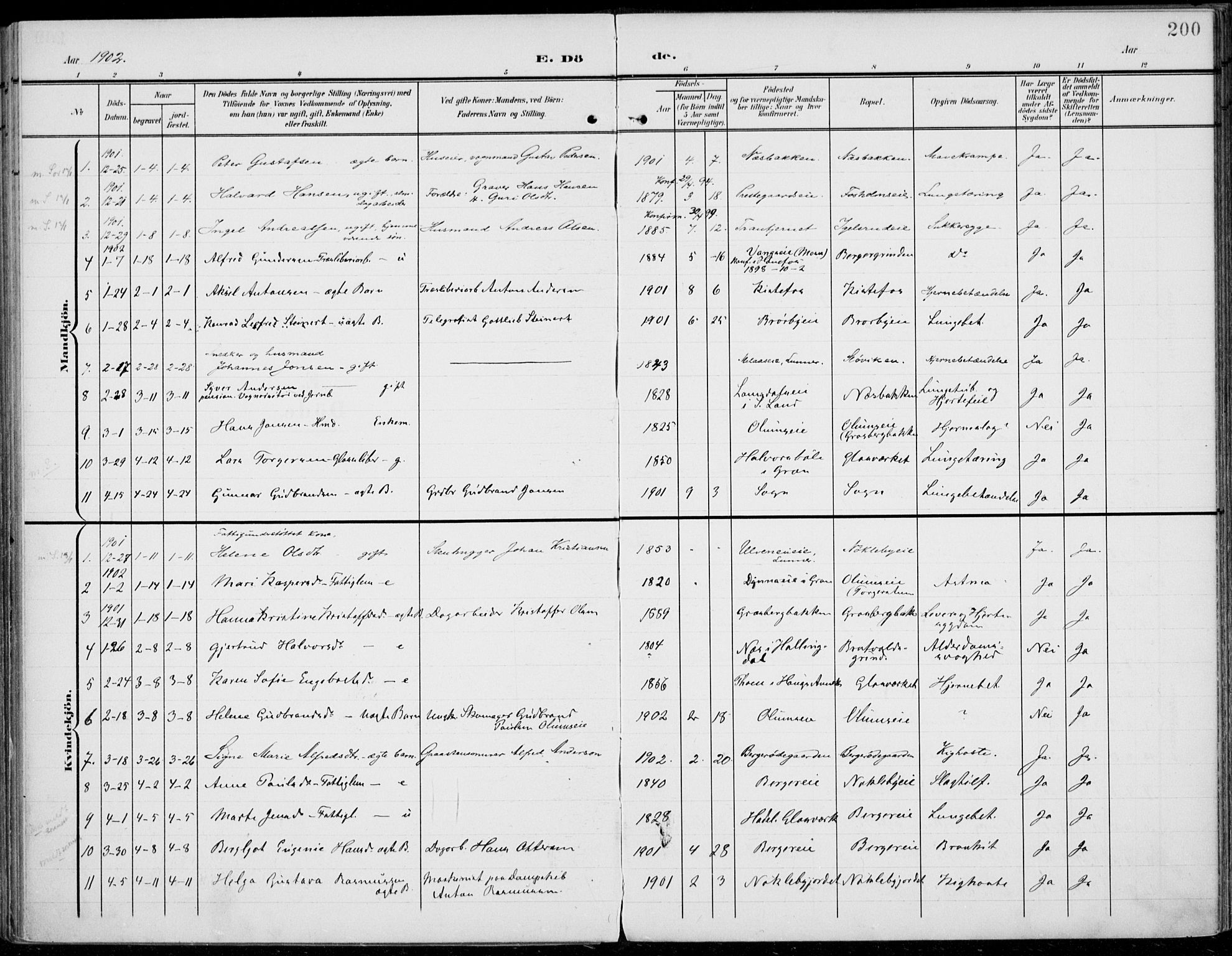 Jevnaker prestekontor, SAH/PREST-116/H/Ha/Haa/L0011: Parish register (official) no. 11, 1902-1913, p. 200
