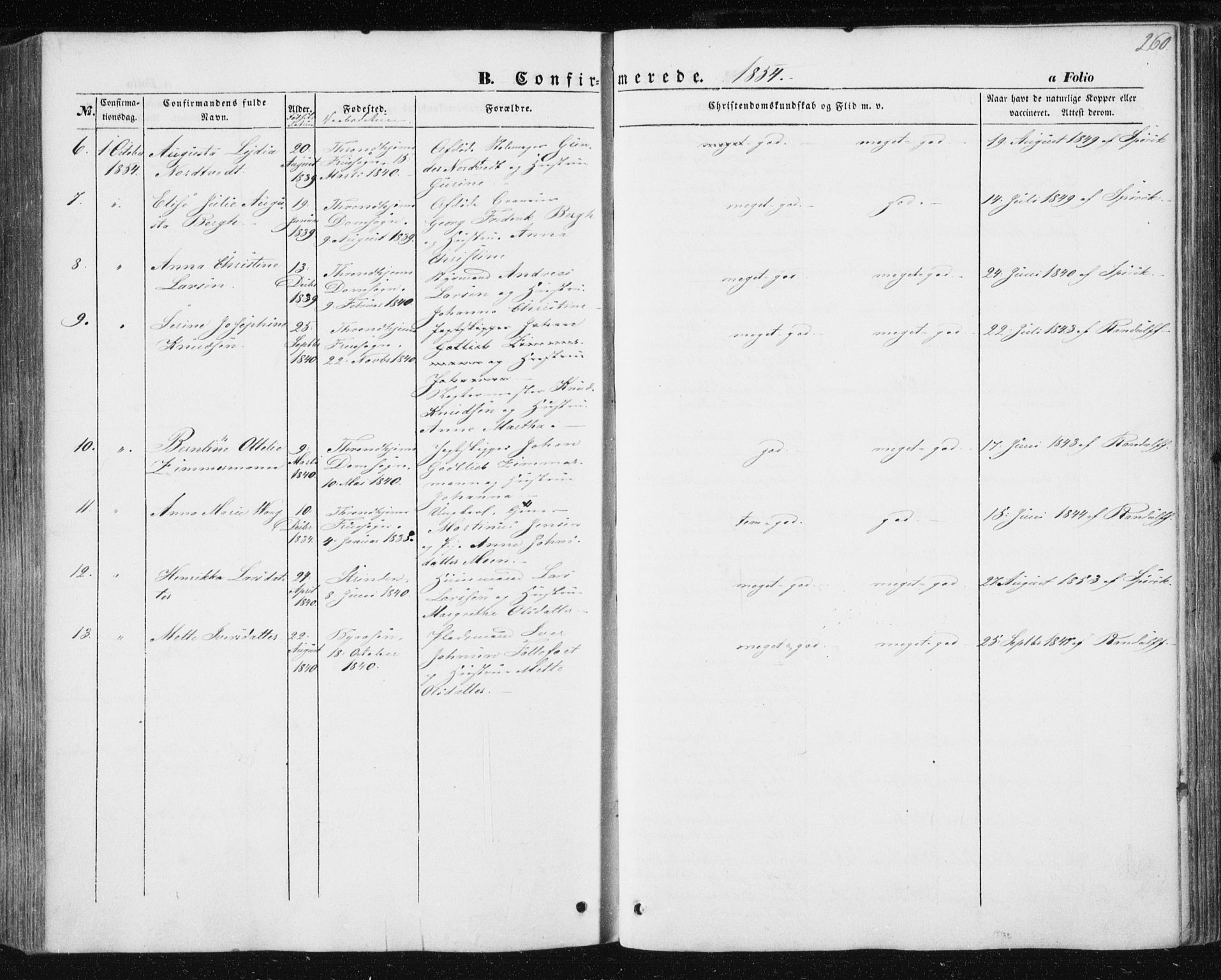 Ministerialprotokoller, klokkerbøker og fødselsregistre - Sør-Trøndelag, AV/SAT-A-1456/602/L0112: Parish register (official) no. 602A10, 1848-1859, p. 260