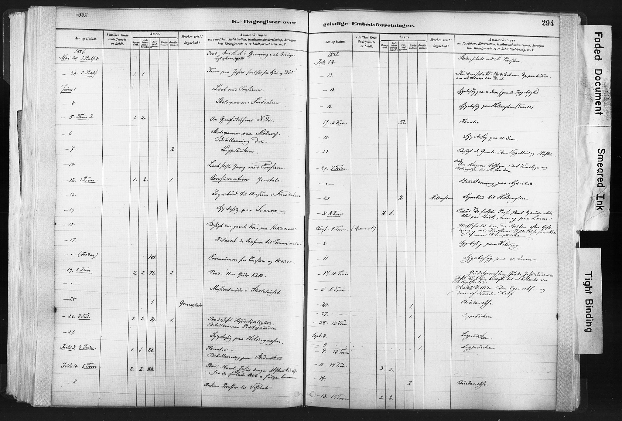 Ministerialprotokoller, klokkerbøker og fødselsregistre - Nord-Trøndelag, AV/SAT-A-1458/749/L0474: Parish register (official) no. 749A08, 1887-1903, p. 294