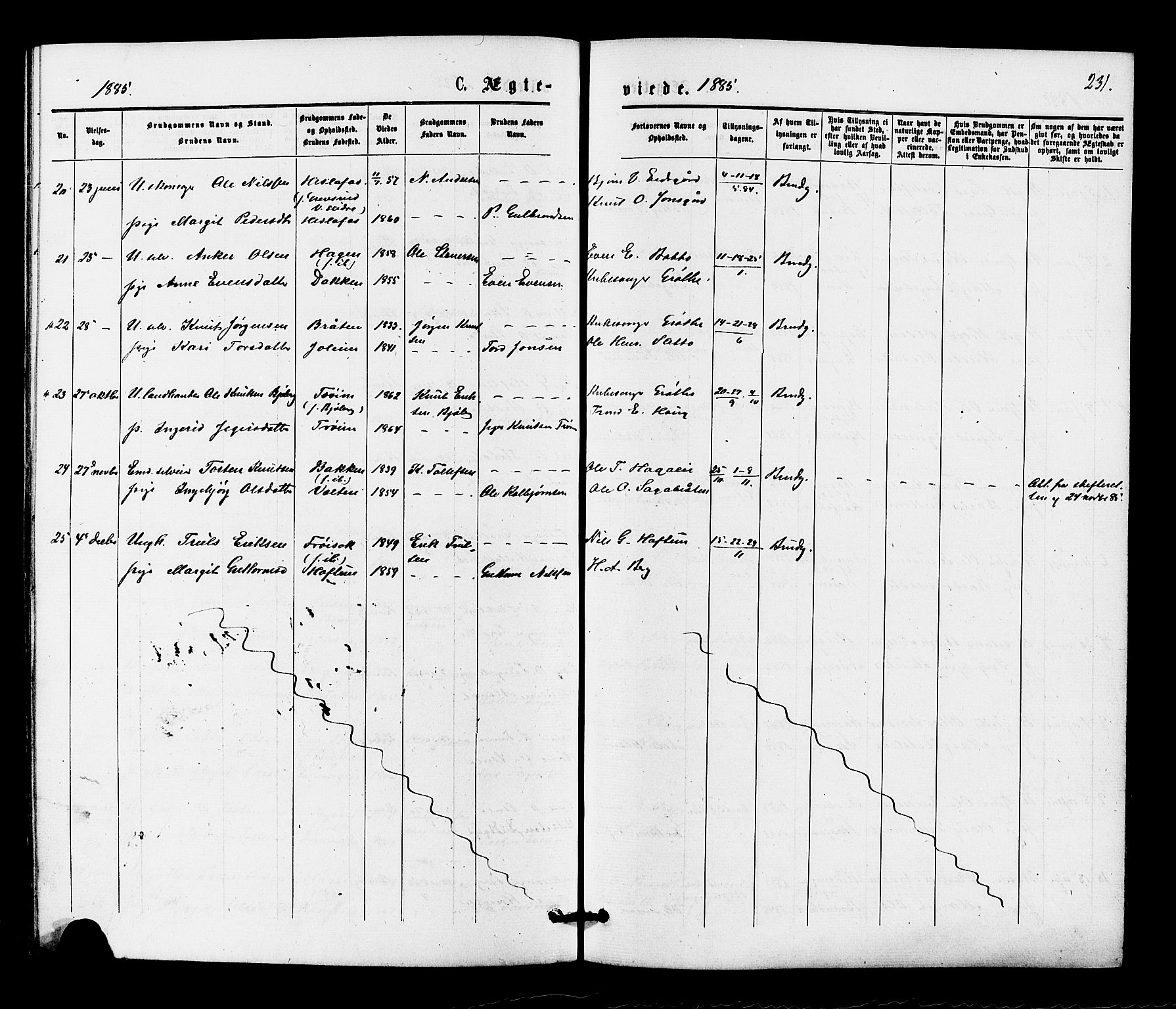 Gol kirkebøker, AV/SAKO-A-226/F/Fa/L0004: Parish register (official) no. I 4, 1876-1886, p. 231