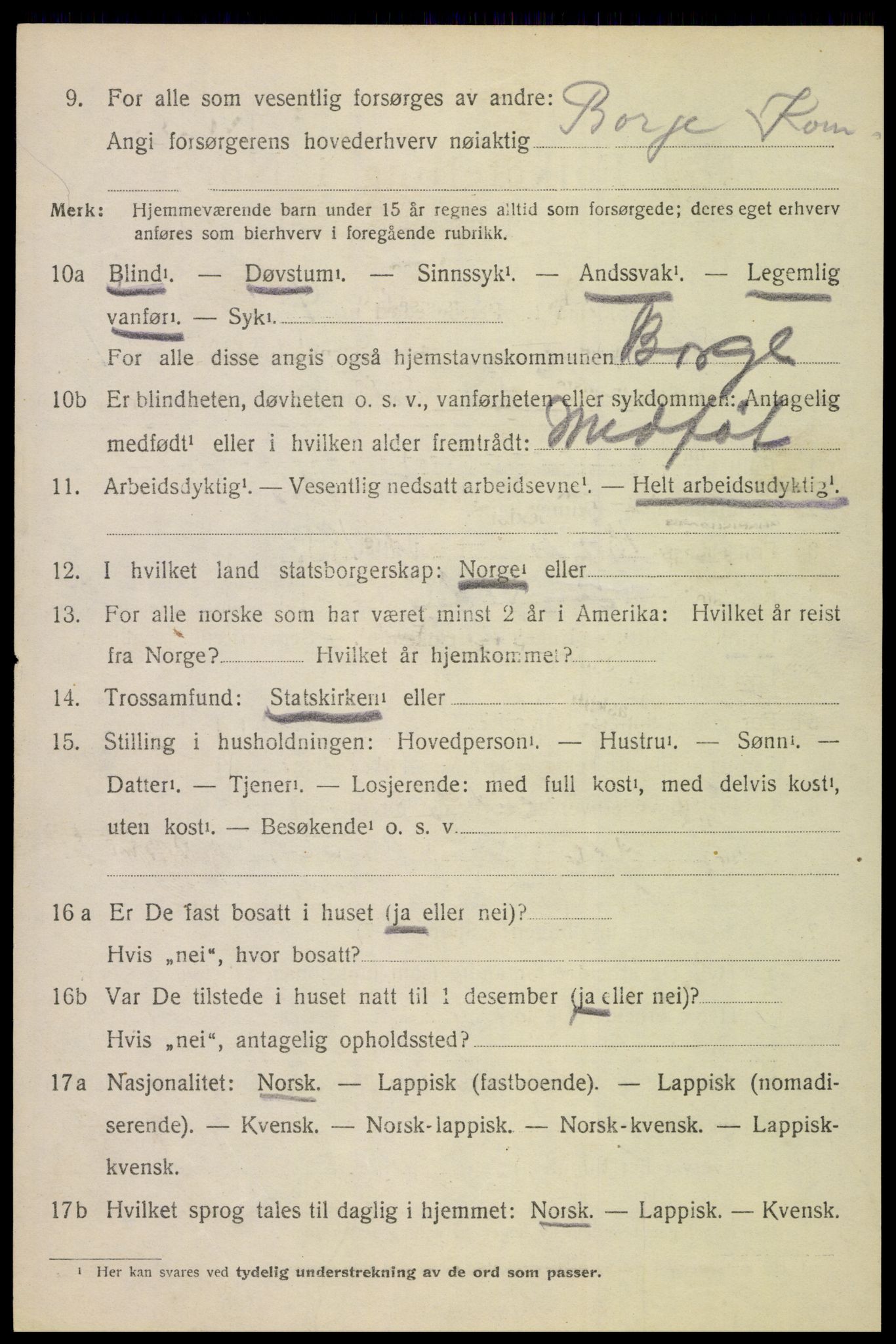 SAT, 1920 census for Borge, 1920, p. 4304