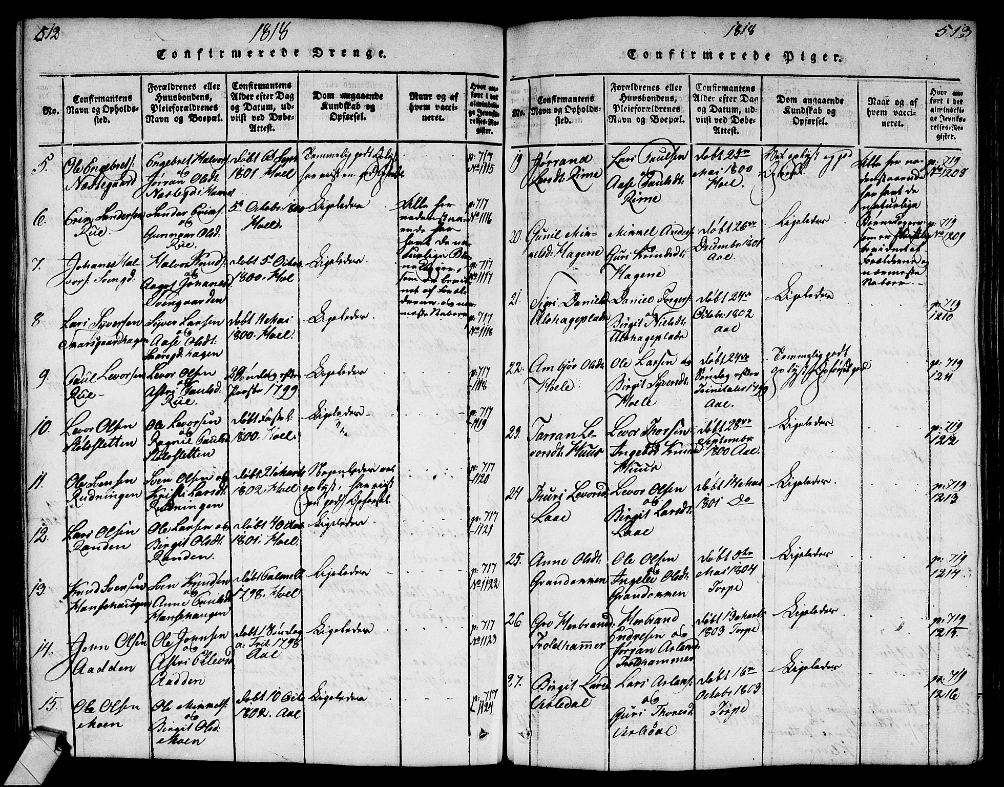 Ål kirkebøker, AV/SAKO-A-249/G/Ga/L0001: Parish register (copy) no. 1, 1815-1829, p. 514-515