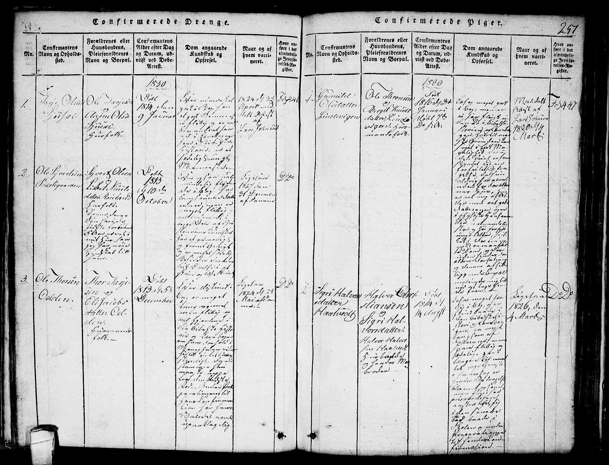 Lårdal kirkebøker, SAKO/A-284/G/Ga/L0001: Parish register (copy) no. I 1, 1815-1861, p. 251