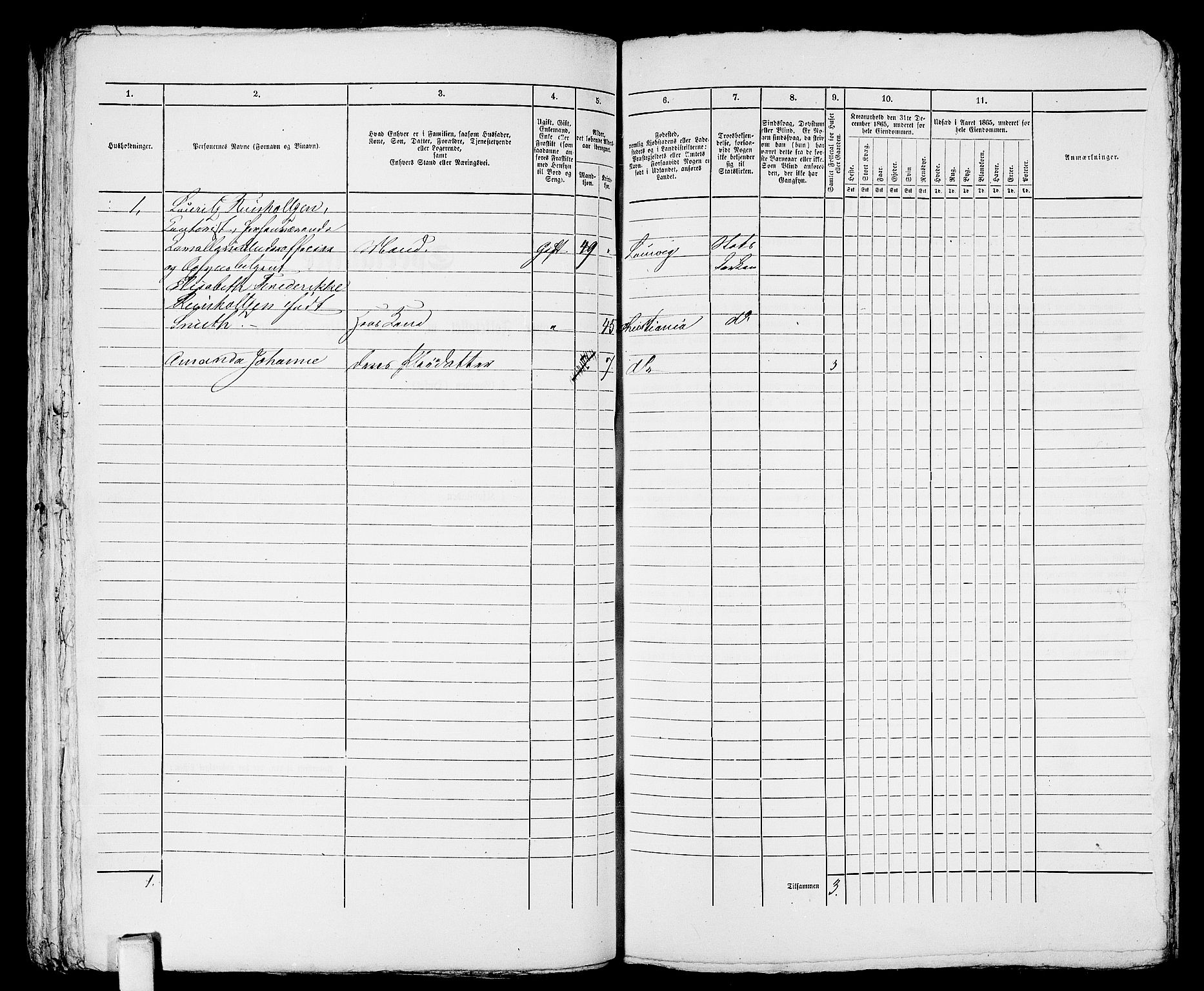 RA, 1865 census for Larvik, 1865, p. 797