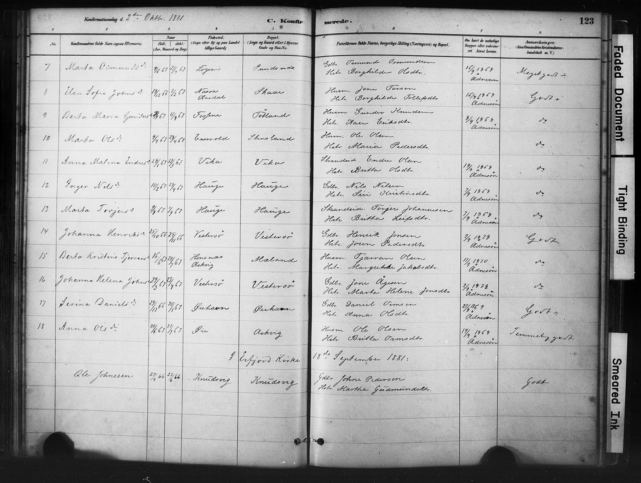 Hjelmeland sokneprestkontor, AV/SAST-A-101843/01/IV/L0014: Parish register (official) no. A 14, 1879-1900, p. 123