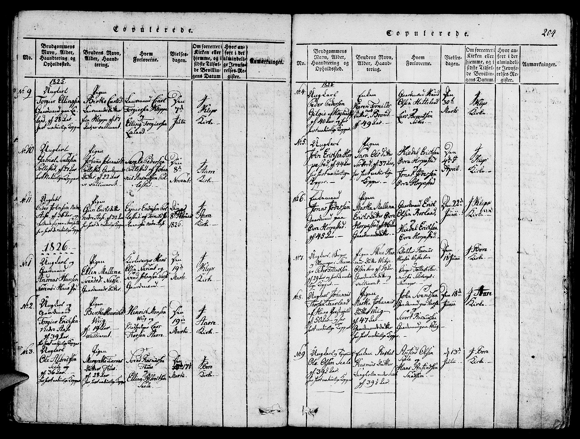 Klepp sokneprestkontor, AV/SAST-A-101803/001/3/30BA/L0002: Parish register (official) no. A 2, 1816-1833, p. 204