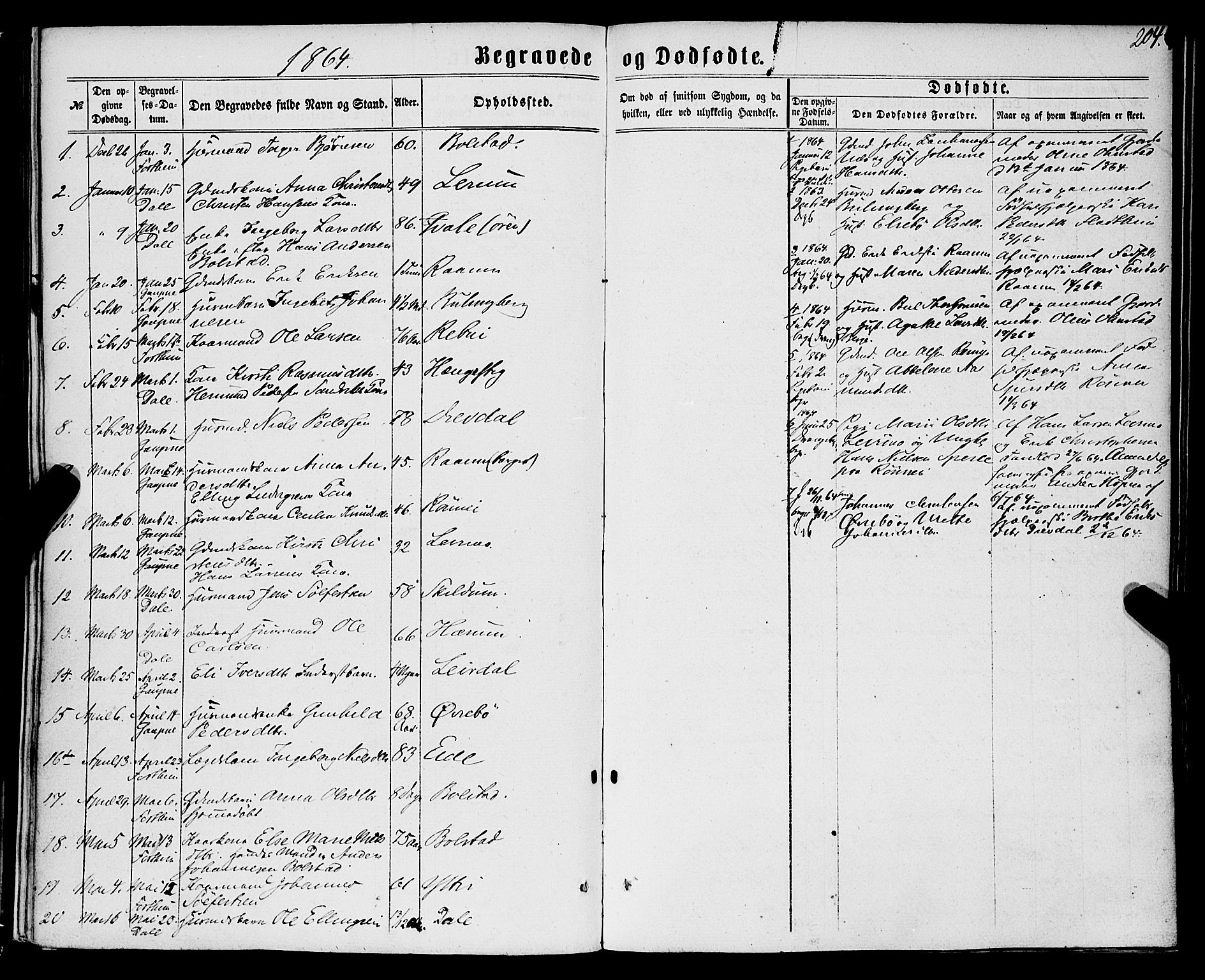 Luster sokneprestembete, SAB/A-81101/H/Haa/Haaa/L0008: Parish register (official) no. A 8, 1860-1870, p. 204