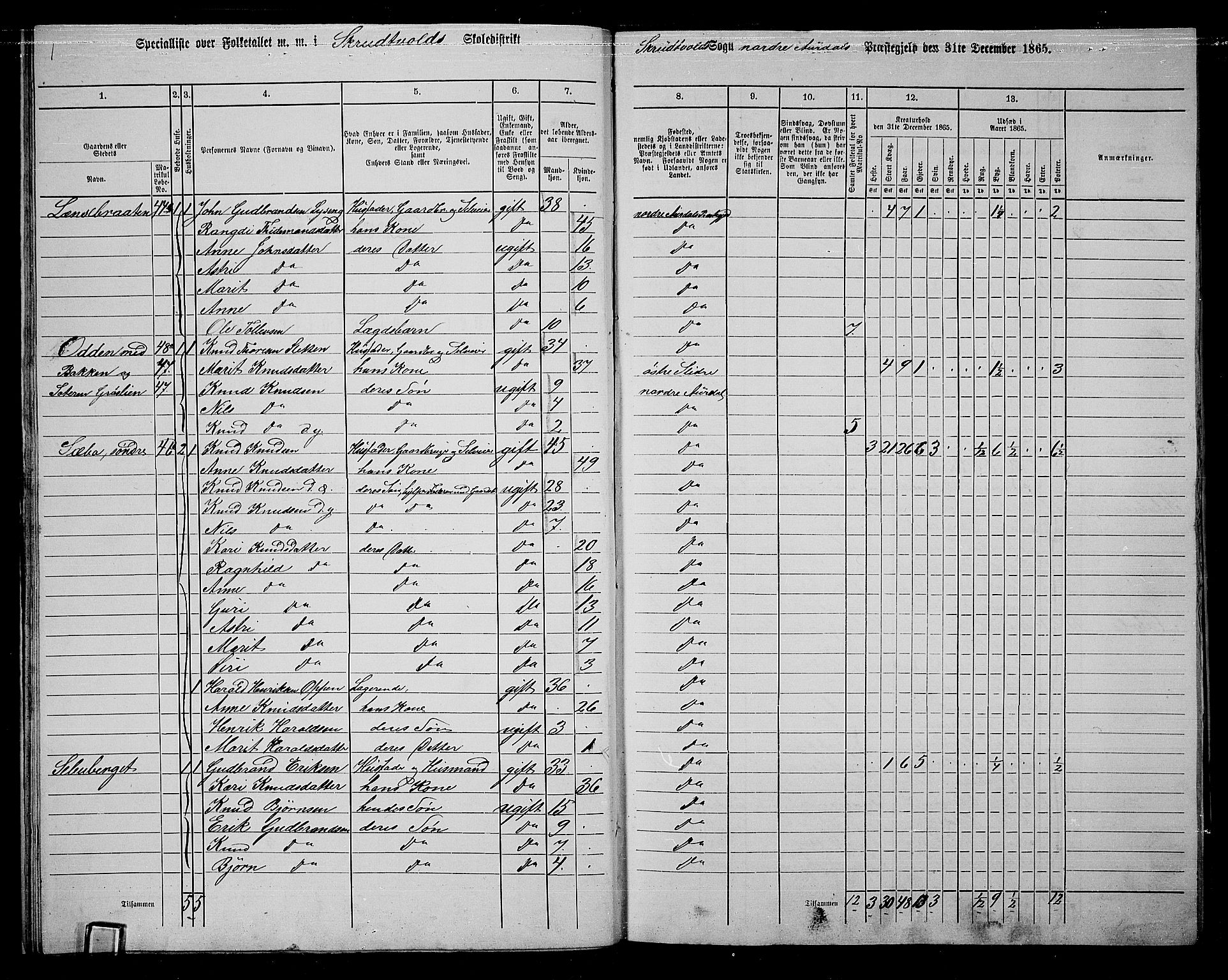 RA, 1865 census for Nord-Aurdal, 1865, p. 26