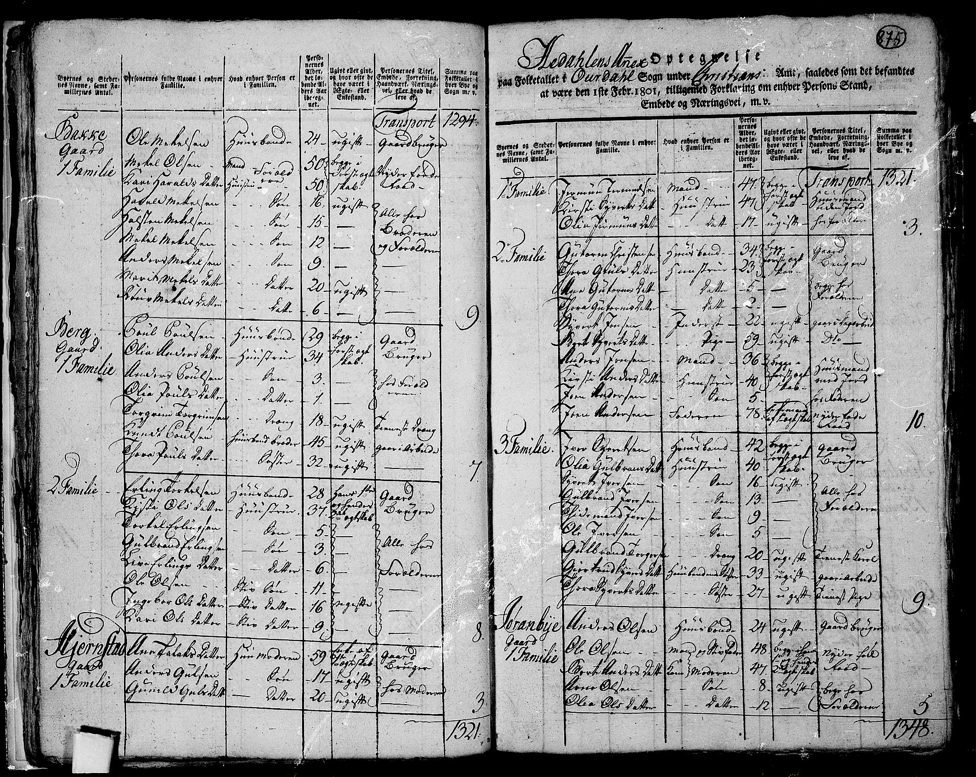 RA, 1801 census for 0542P Aurdal, 1801, p. 874b-875a