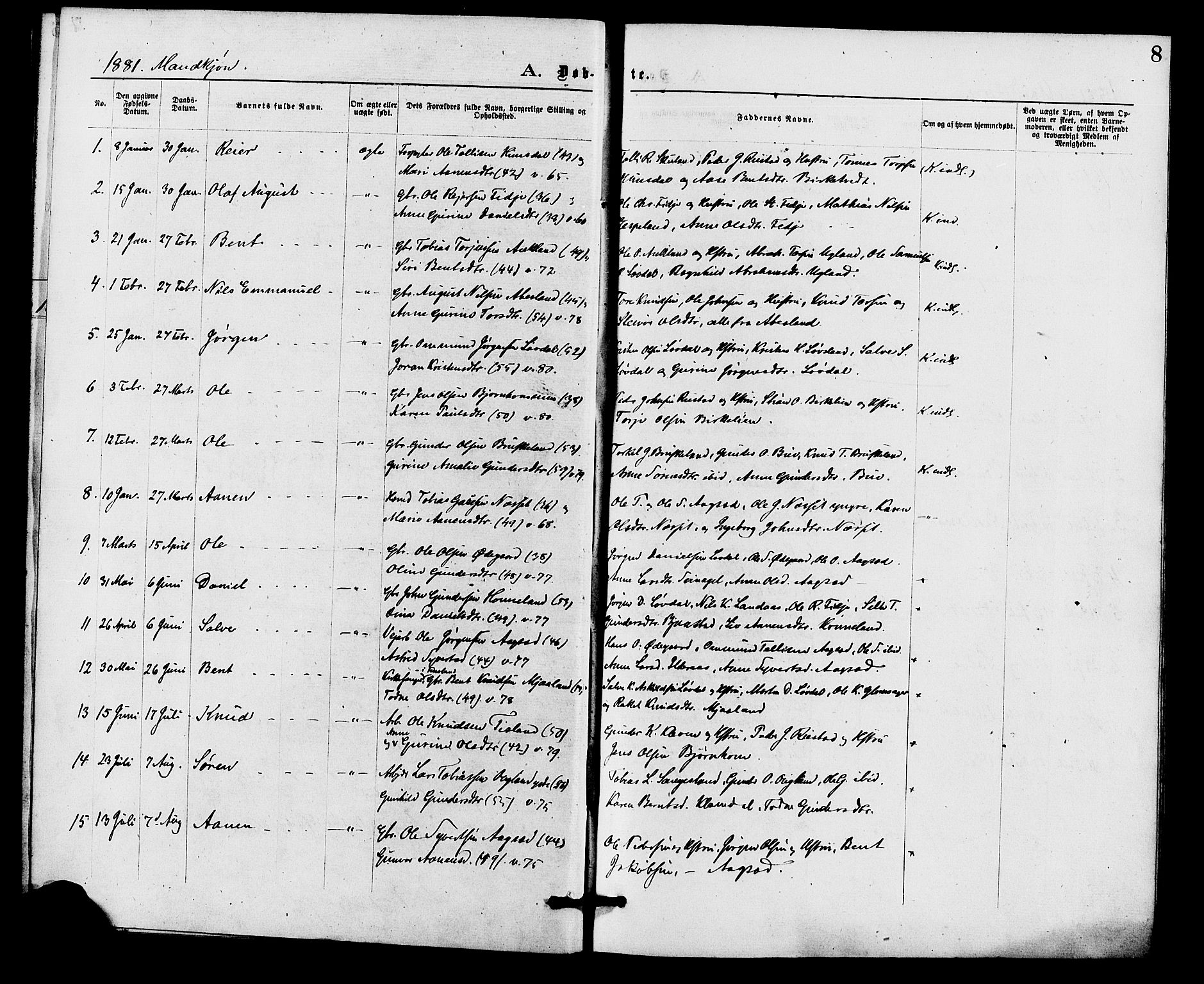 Holum sokneprestkontor, AV/SAK-1111-0022/F/Fa/Fab/L0006: Parish register (official) no. A 6, 1875-1886, p. 8