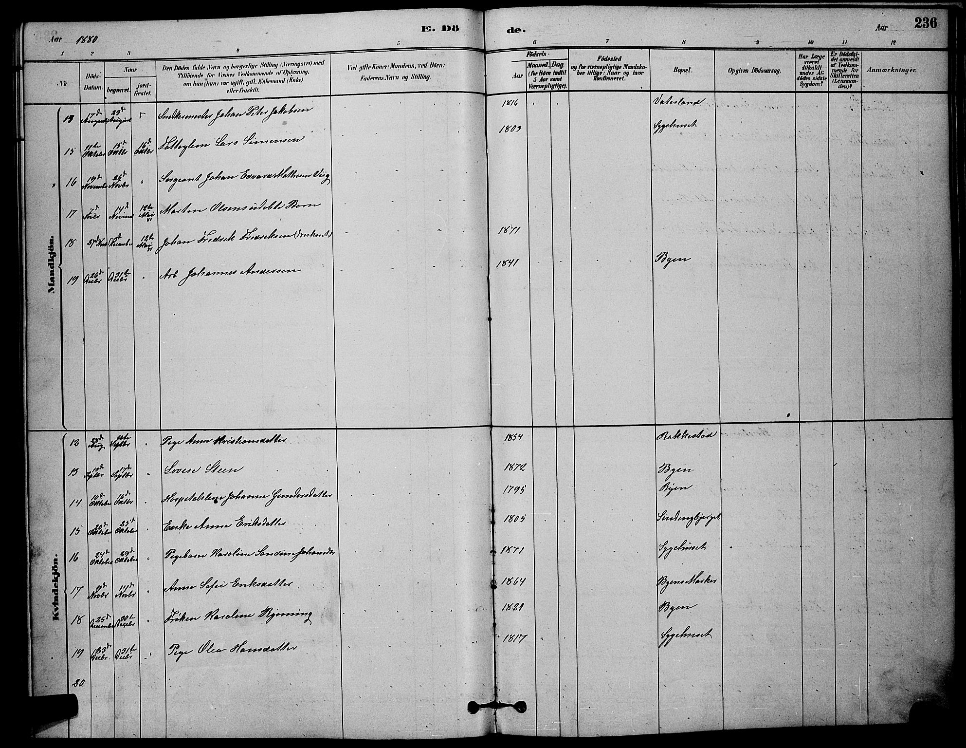 Østre Fredrikstad prestekontor Kirkebøker, AV/SAO-A-10907/G/Ga/L0001: Parish register (copy) no. 1, 1880-1899, p. 236