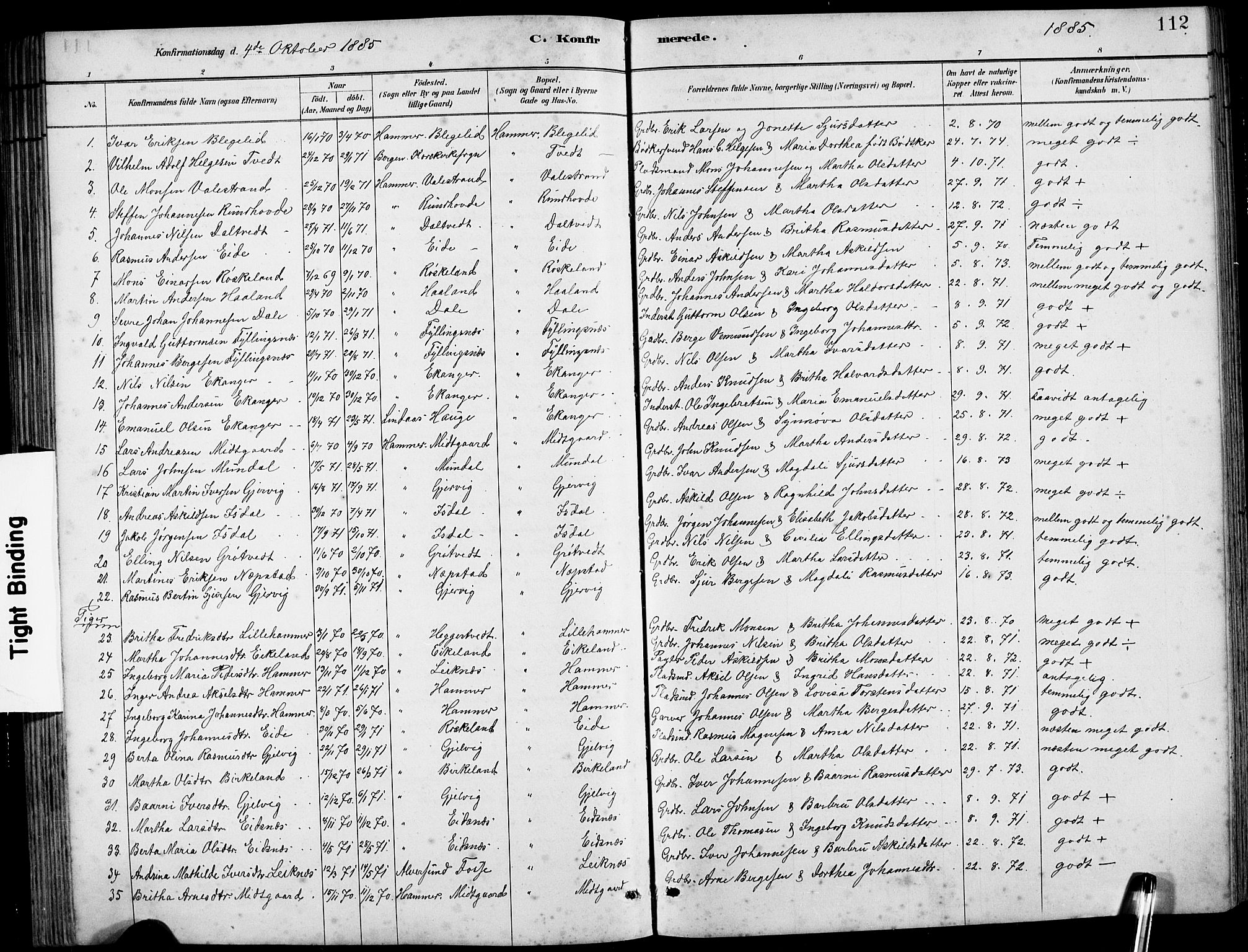 Hamre sokneprestembete, SAB/A-75501/H/Ha/Hab: Parish register (copy) no. B 3, 1881-1898, p. 112