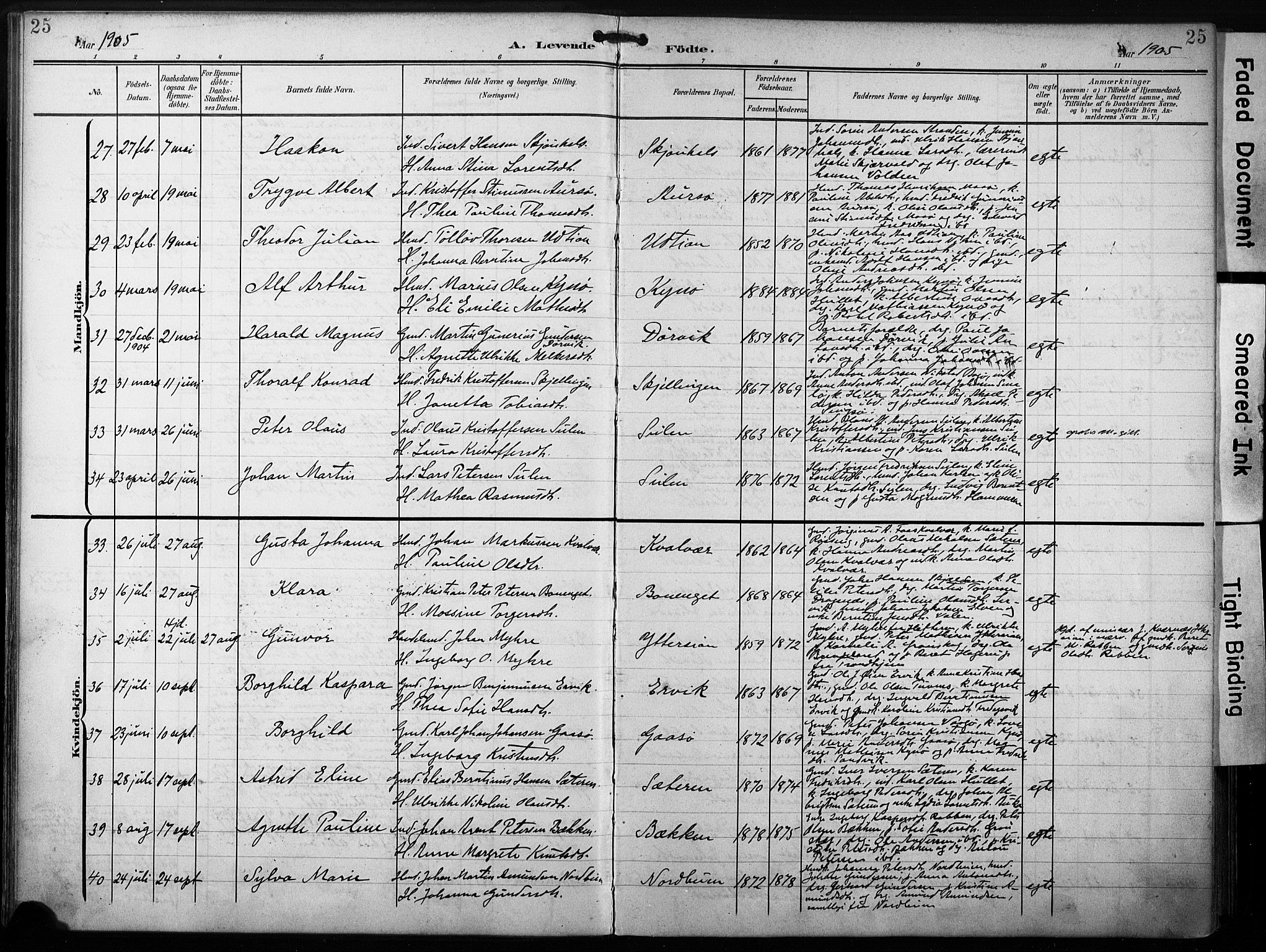 Ministerialprotokoller, klokkerbøker og fødselsregistre - Sør-Trøndelag, SAT/A-1456/640/L0580: Parish register (official) no. 640A05, 1902-1910, p. 25
