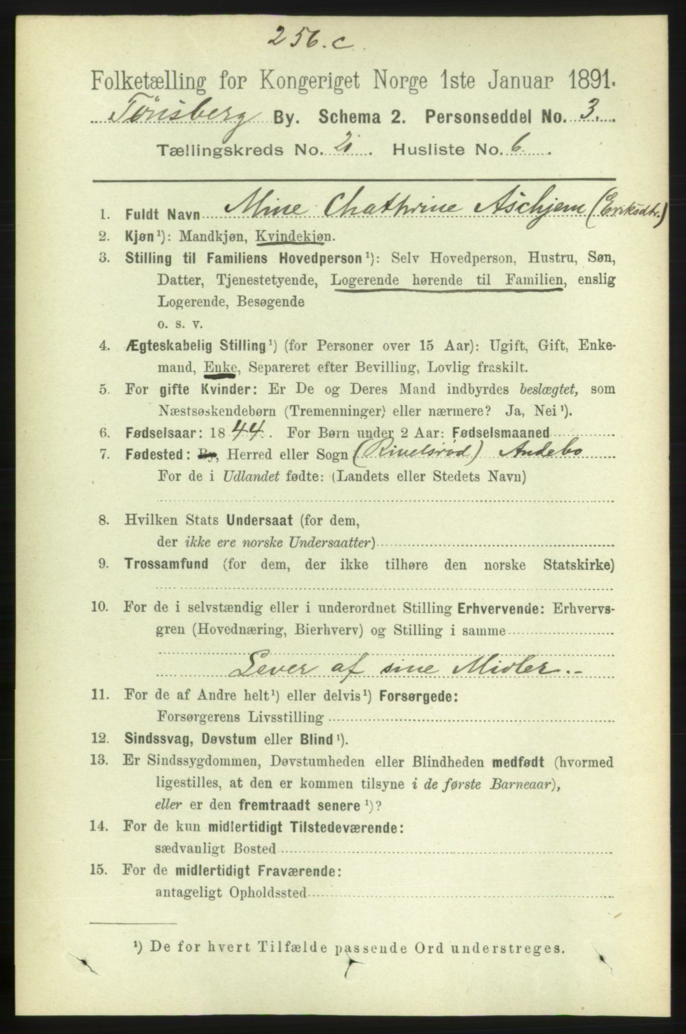 RA, 1891 census for 0705 Tønsberg, 1891, p. 5715