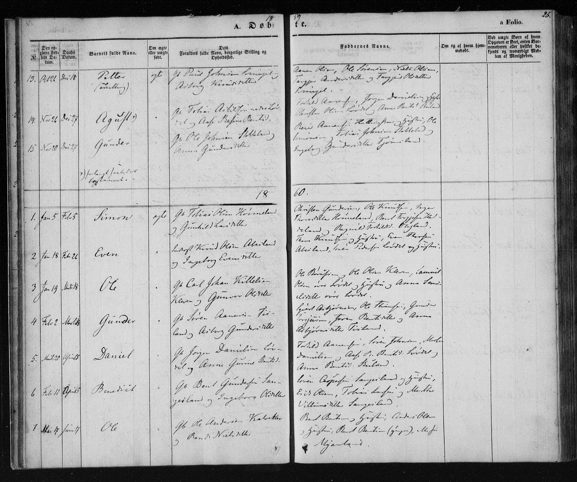 Holum sokneprestkontor, AV/SAK-1111-0022/F/Fa/Fab/L0005: Parish register (official) no. A 5, 1847-1874, p. 25