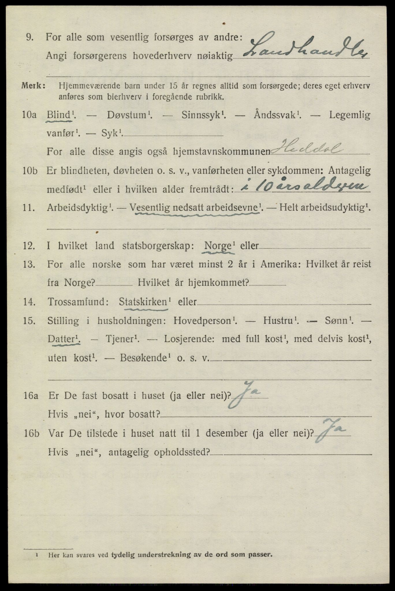 SAKO, 1920 census for Heddal, 1920, p. 4561