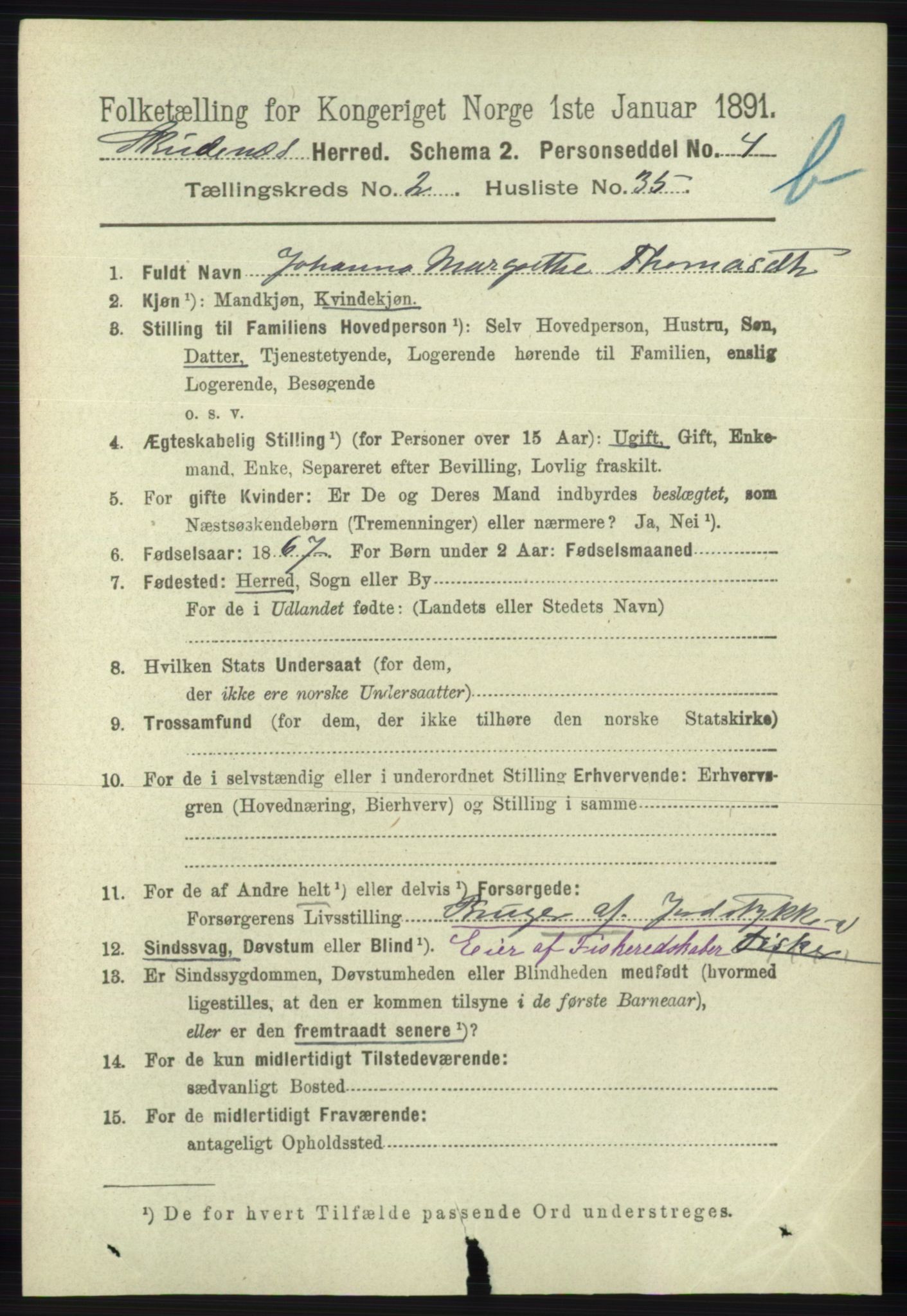 RA, 1891 census for 1150 Skudenes, 1891, p. 3907