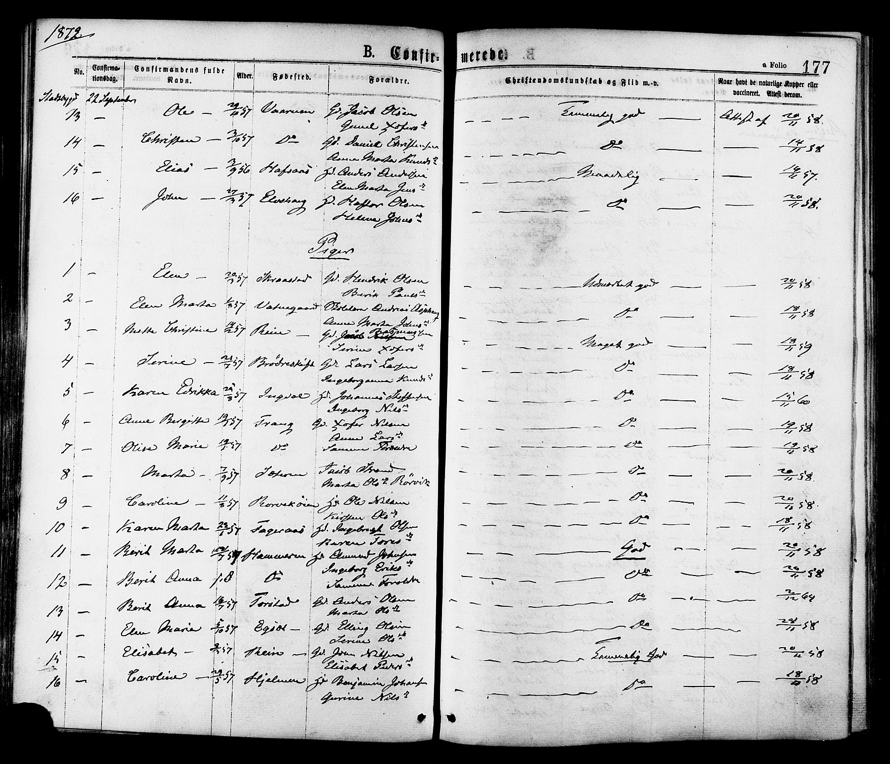 Ministerialprotokoller, klokkerbøker og fødselsregistre - Sør-Trøndelag, AV/SAT-A-1456/646/L0613: Parish register (official) no. 646A11, 1870-1884, p. 177