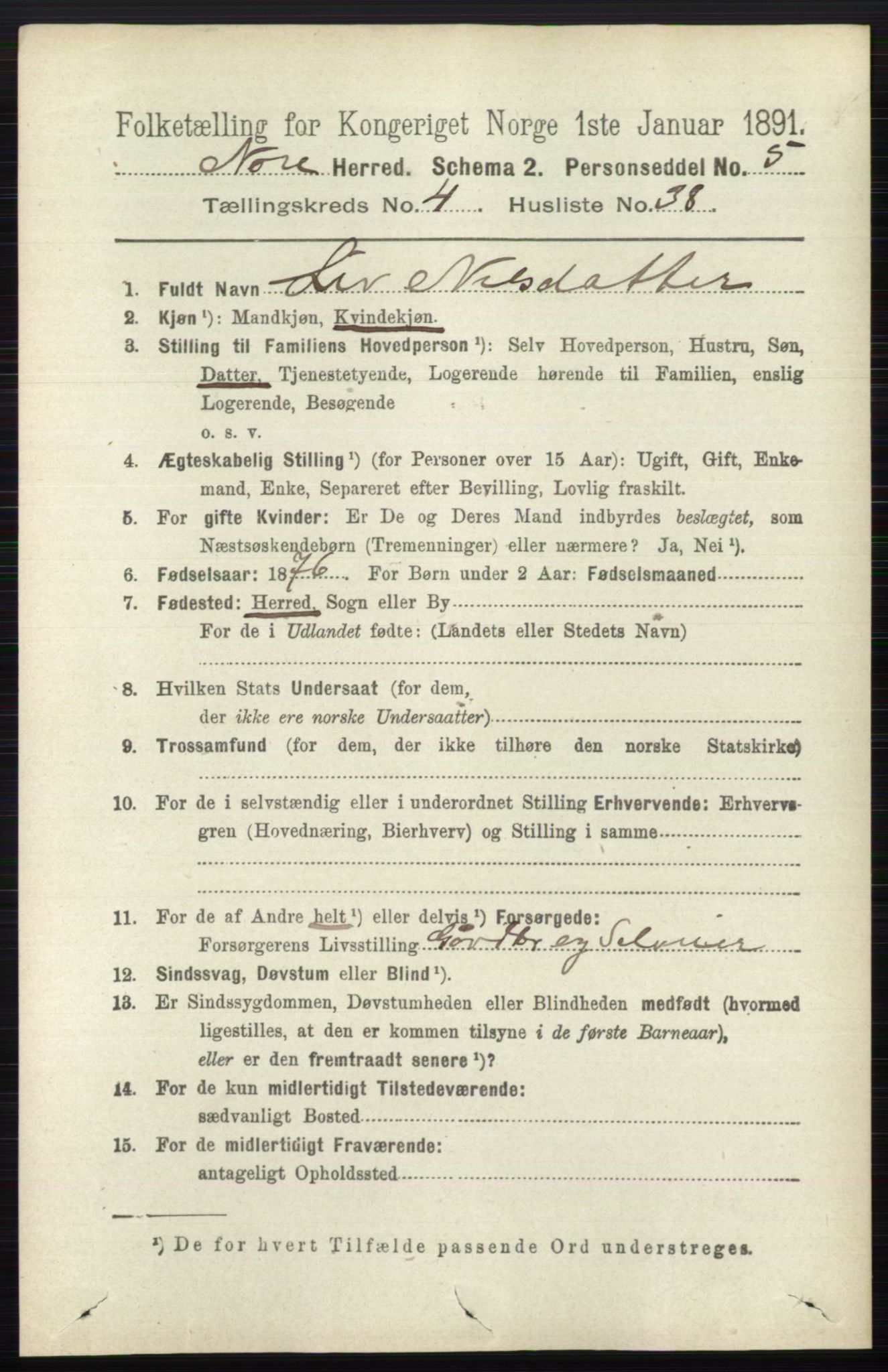 RA, 1891 census for 0633 Nore, 1891, p. 1492