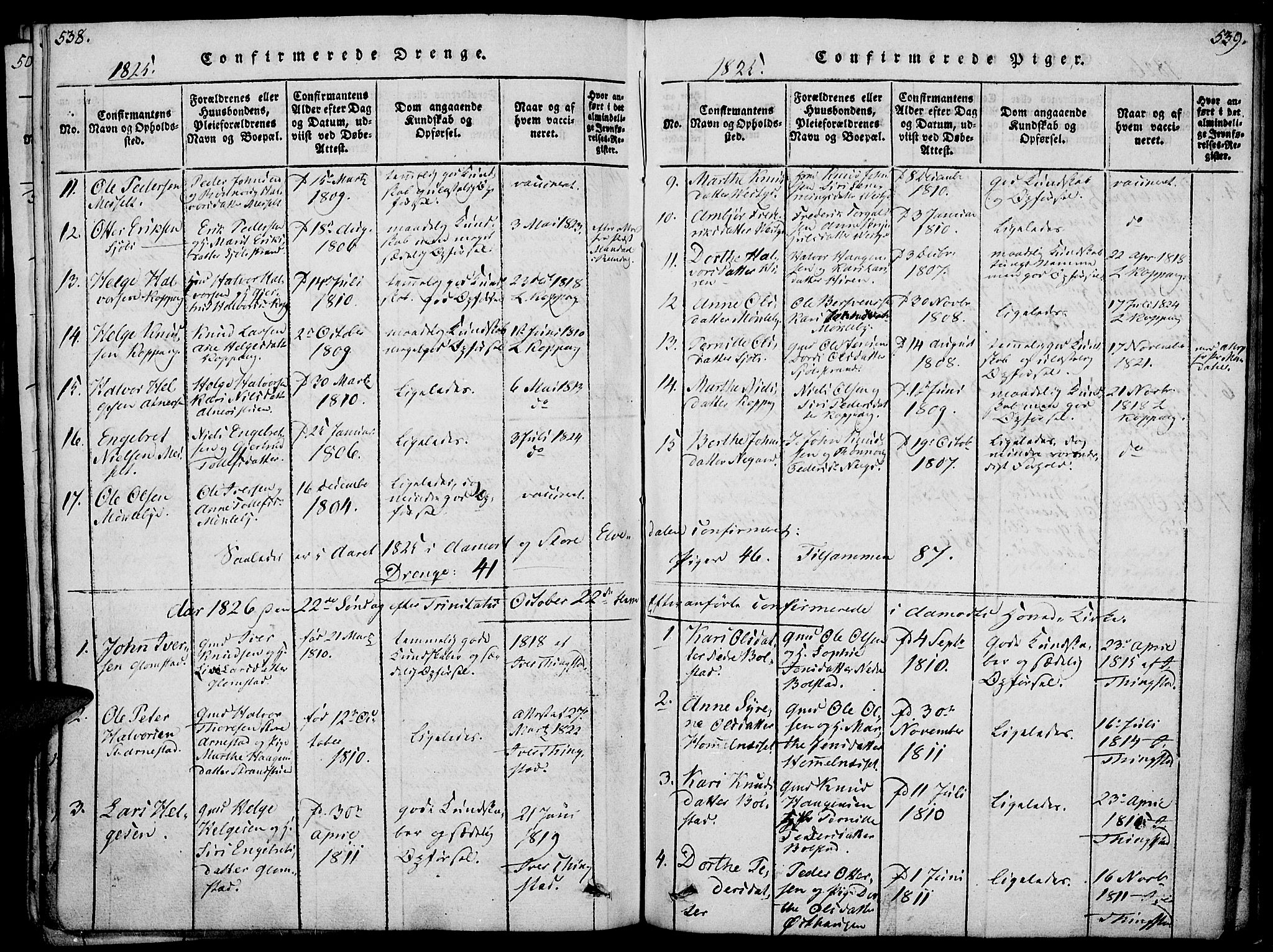 Åmot prestekontor, Hedmark, SAH/PREST-056/H/Ha/Haa/L0005: Parish register (official) no. 5, 1815-1841, p. 538-539