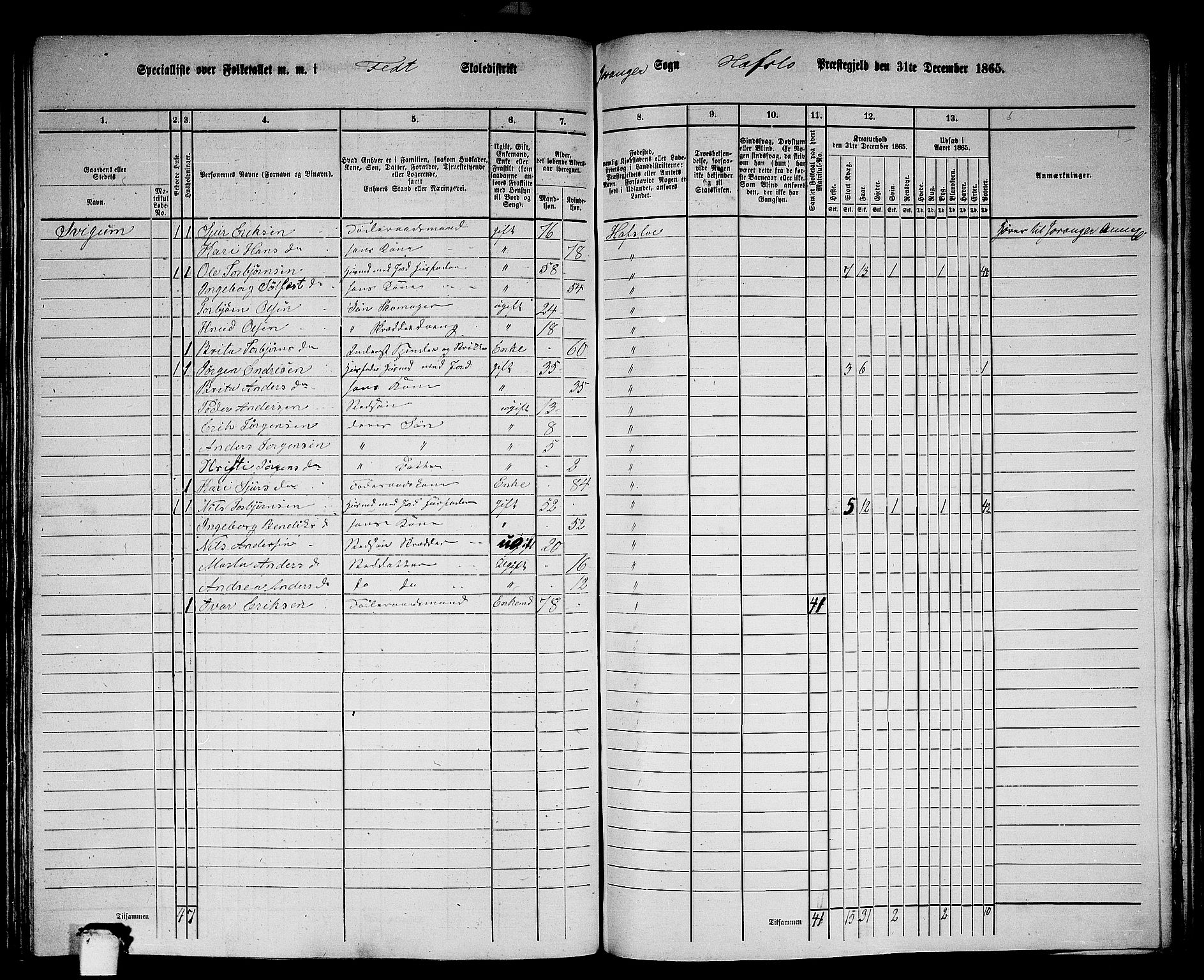 RA, 1865 census for Hafslo, 1865, p. 115