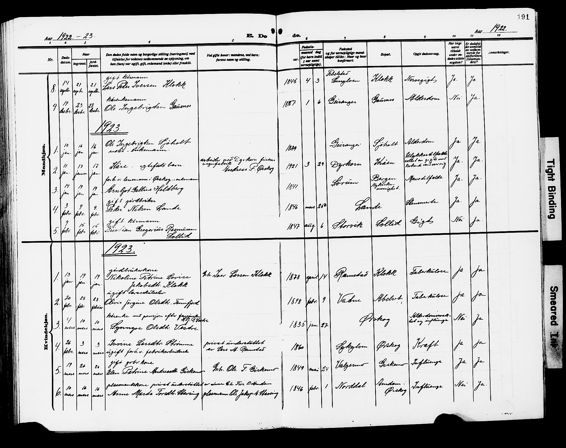 Ministerialprotokoller, klokkerbøker og fødselsregistre - Møre og Romsdal, SAT/A-1454/522/L0328: Parish register (copy) no. 522C07, 1909-1925, p. 191