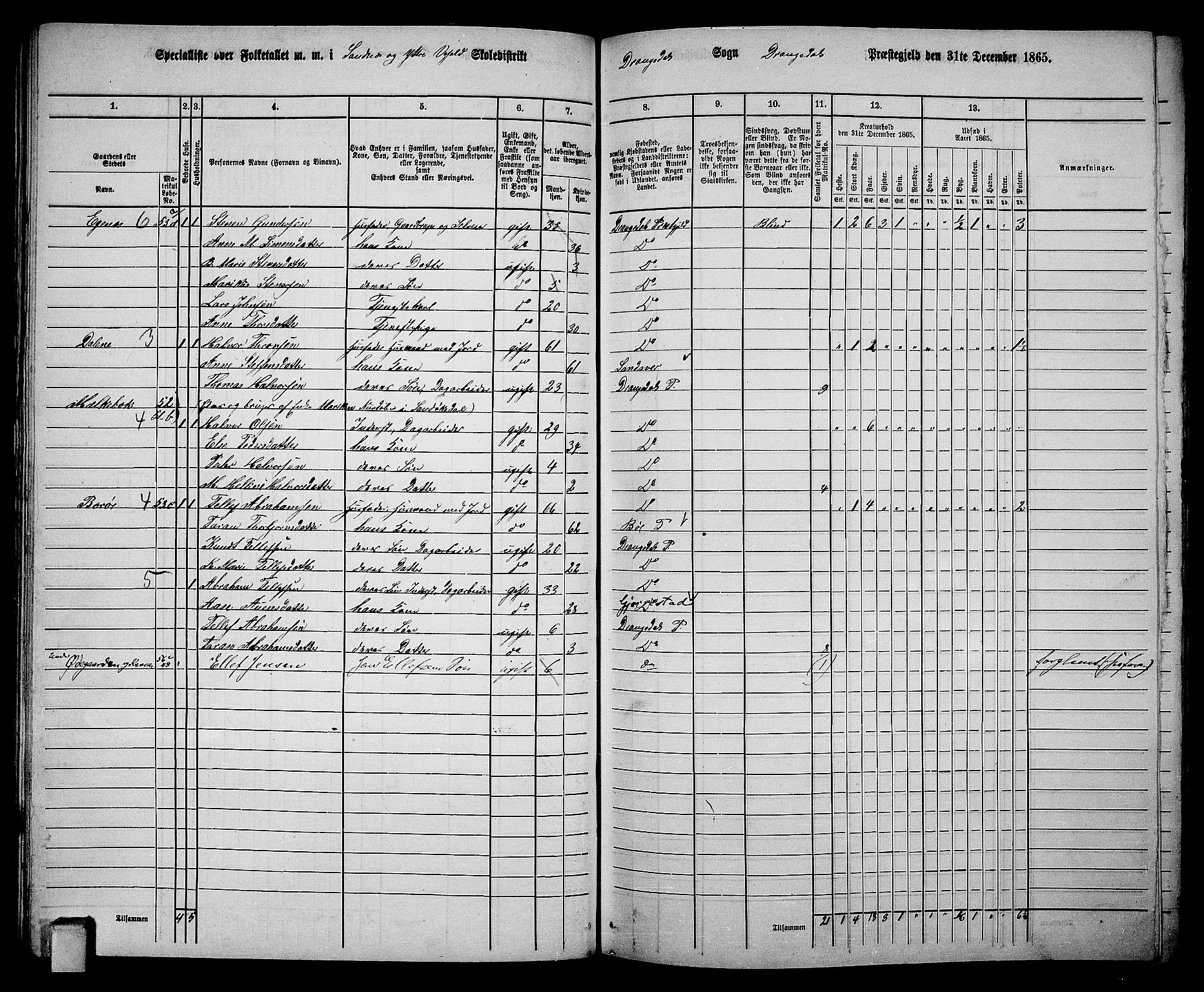 RA, 1865 census for Drangedal, 1865, p. 37