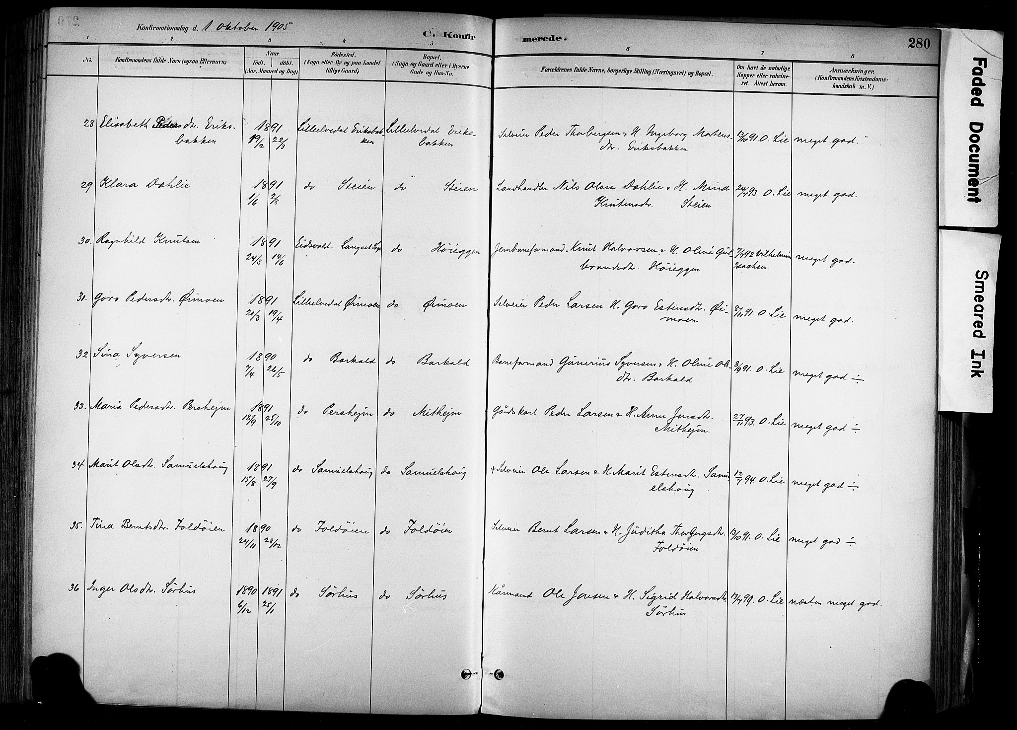 Alvdal prestekontor, AV/SAH-PREST-060/H/Ha/Haa/L0002: Parish register (official) no. 2, 1883-1906, p. 280